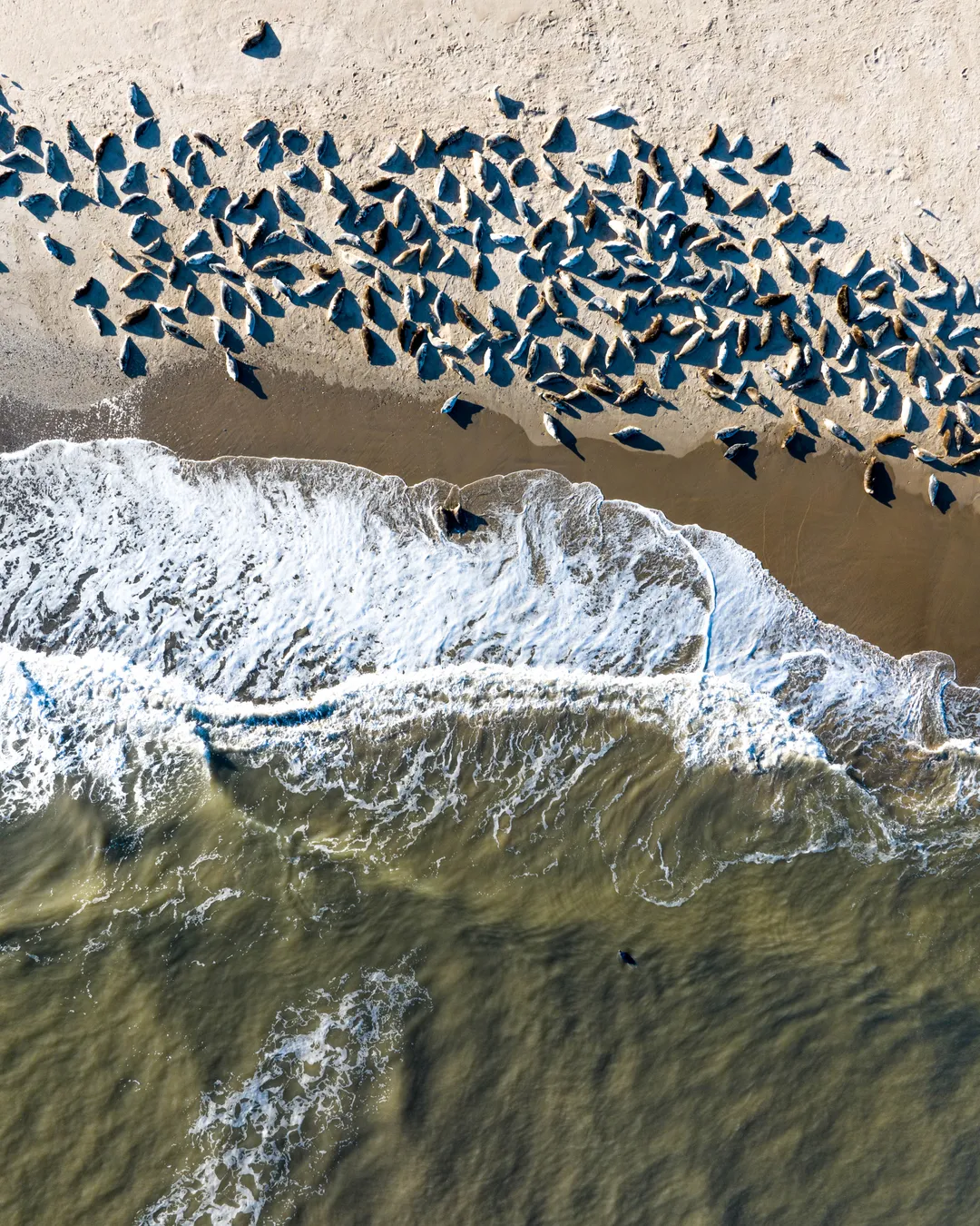 Curracloe Beach