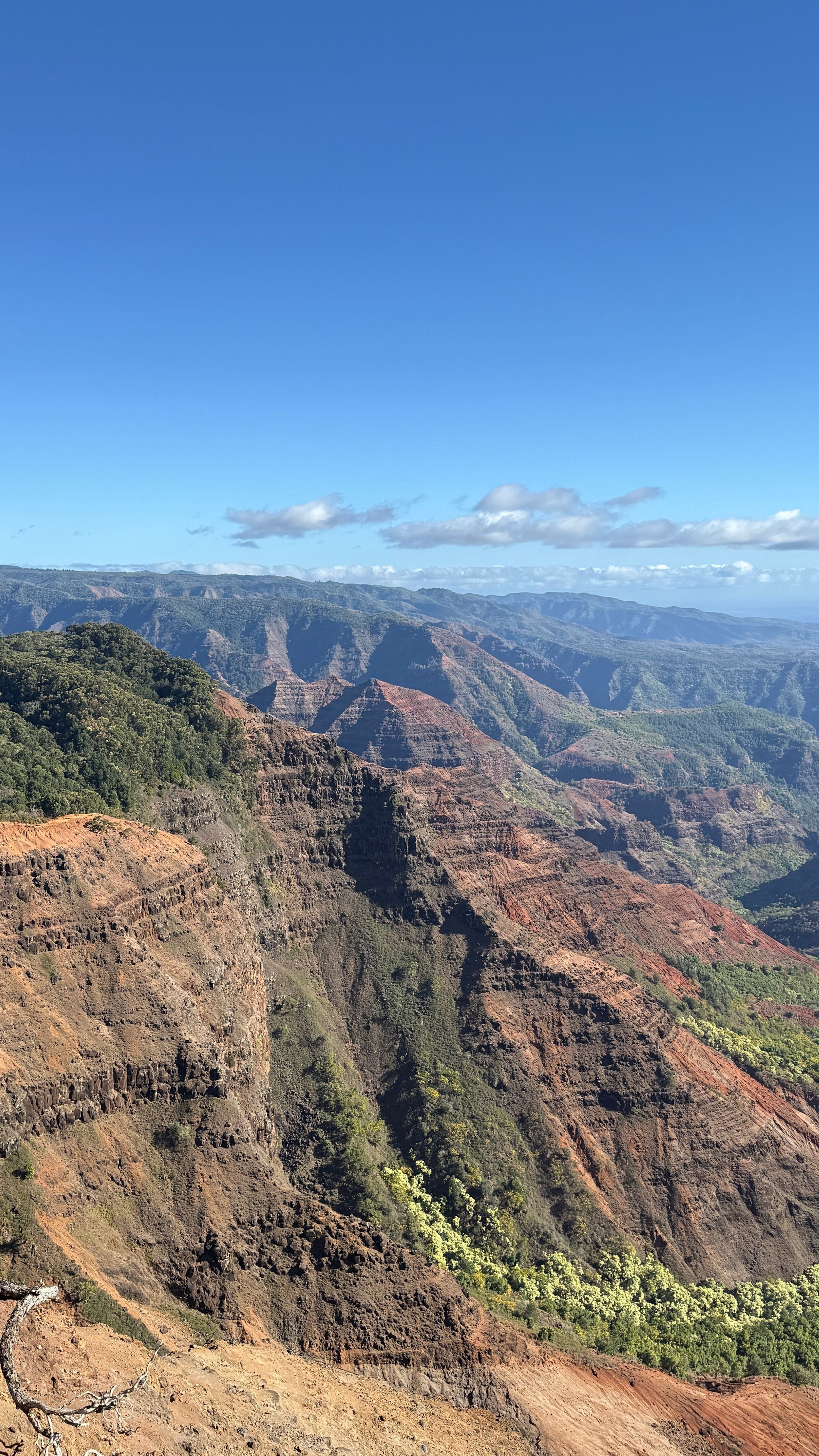 Waimea Canyon State Park