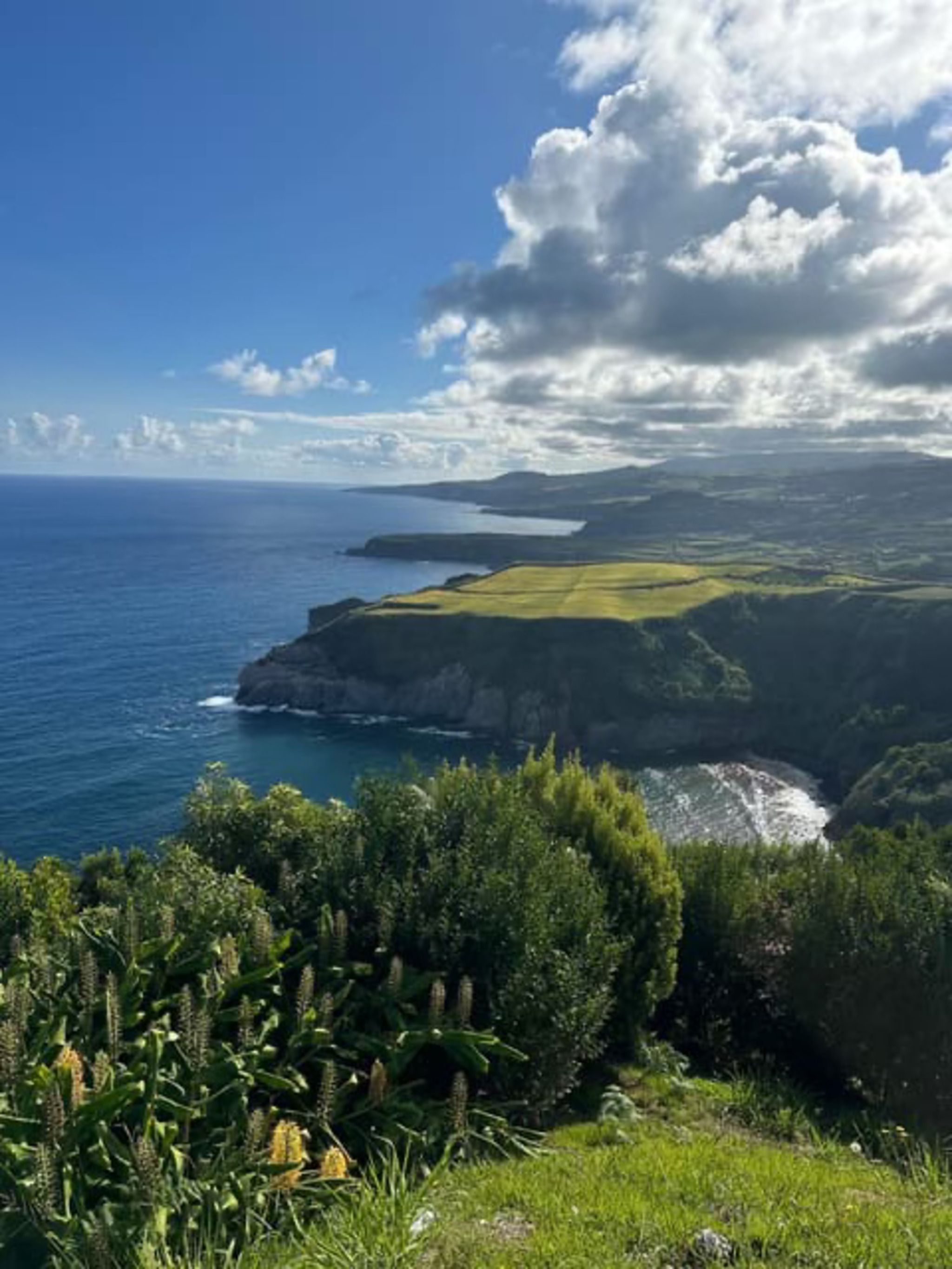 Full-Day East Tour with Lunch