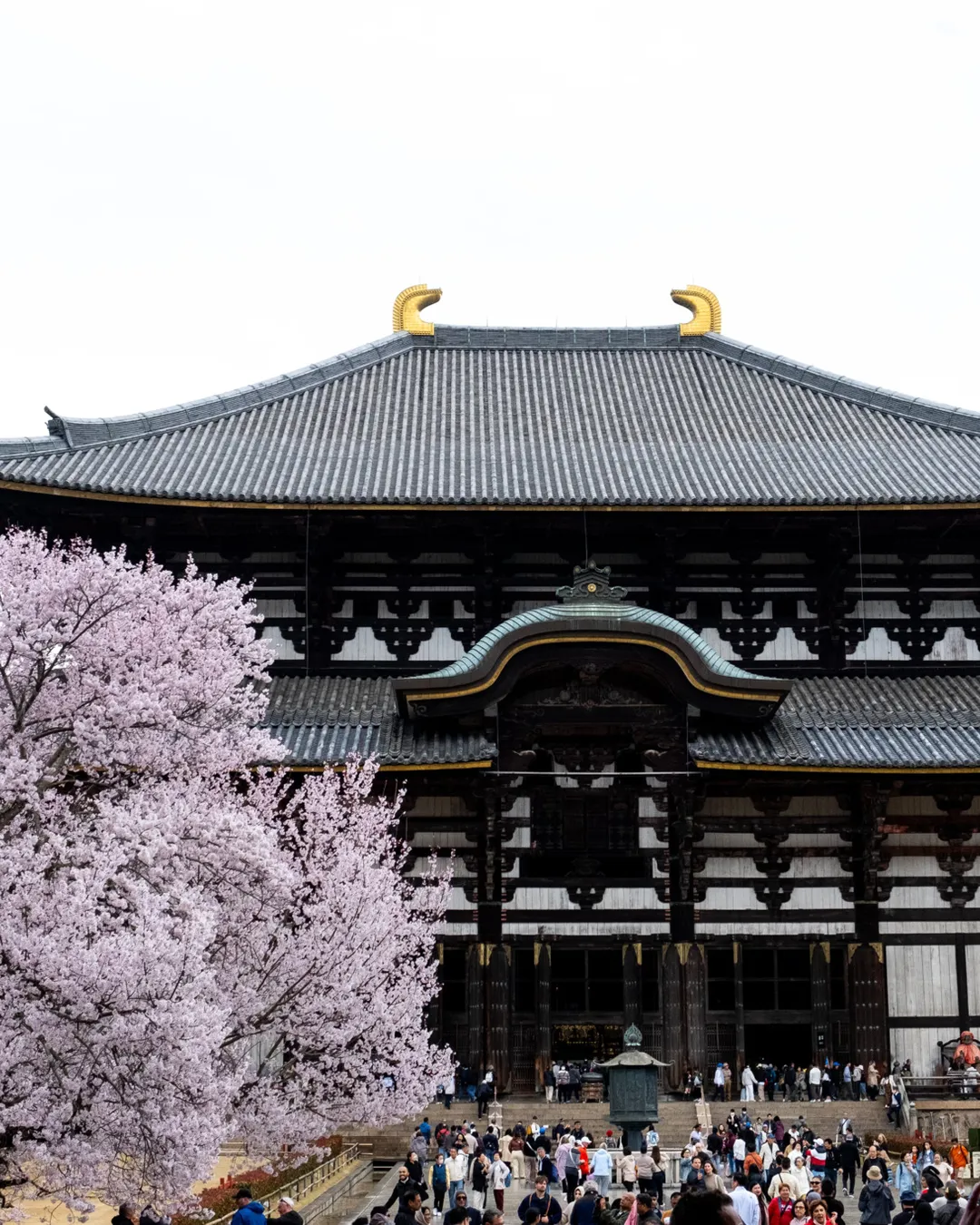 Tōdai-ji