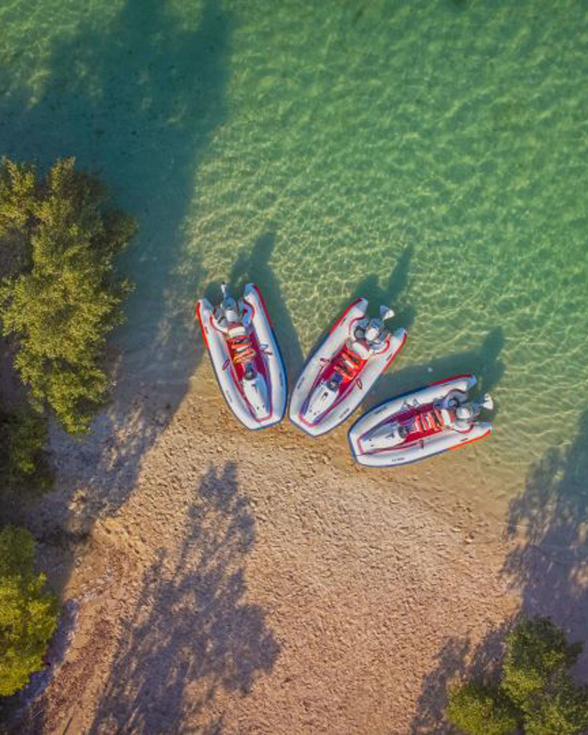 Speed Boat in Eastern Mangroves 