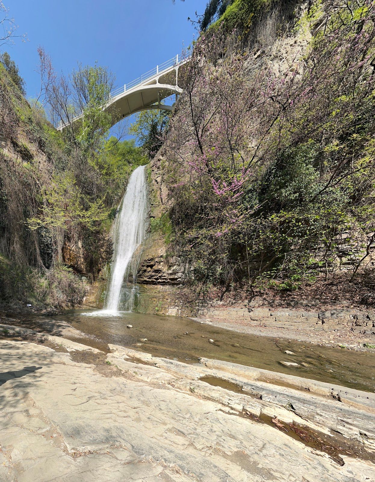 Botanical Garden Waterfall