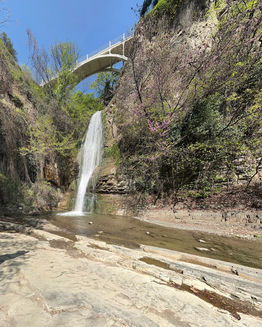 Botanical Garden Waterfall