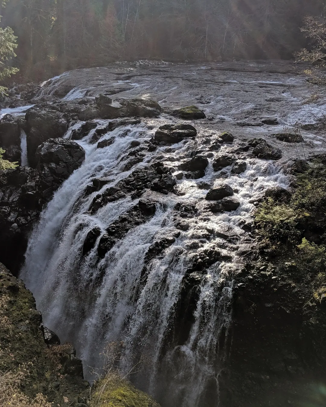 Englishman River Falls Park