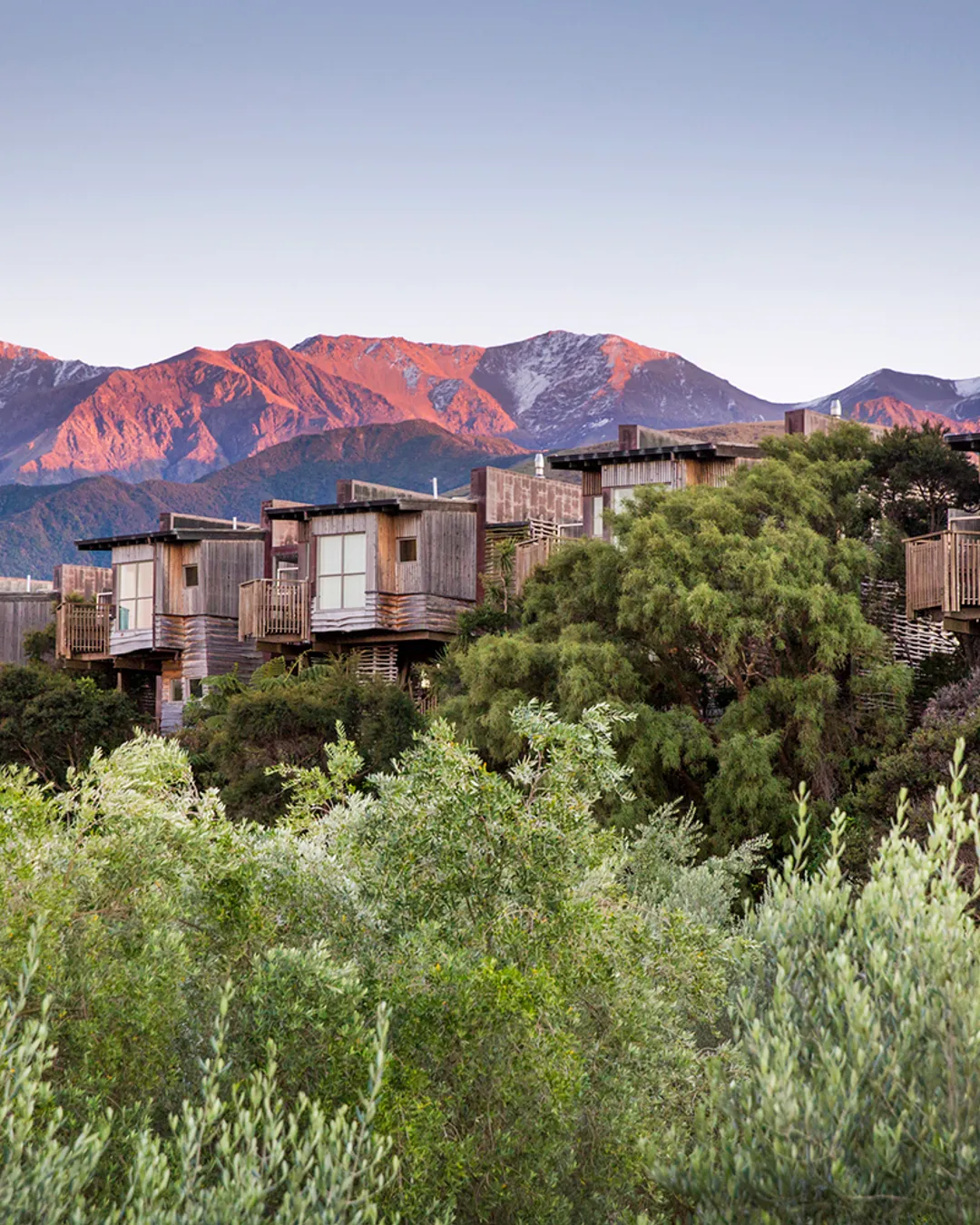 Hapuku Lodge + Tree Houses