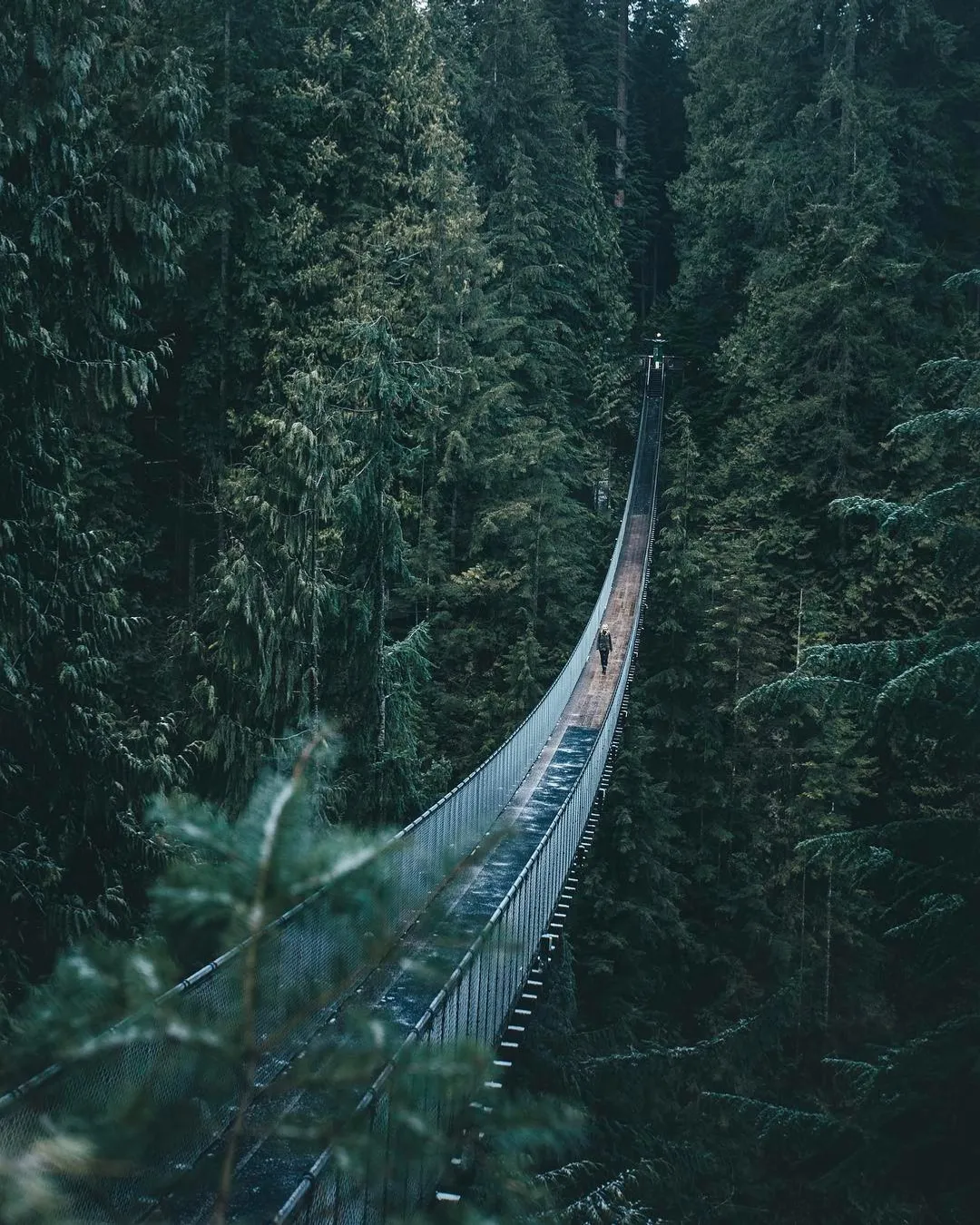 Capilano Suspension Bridge