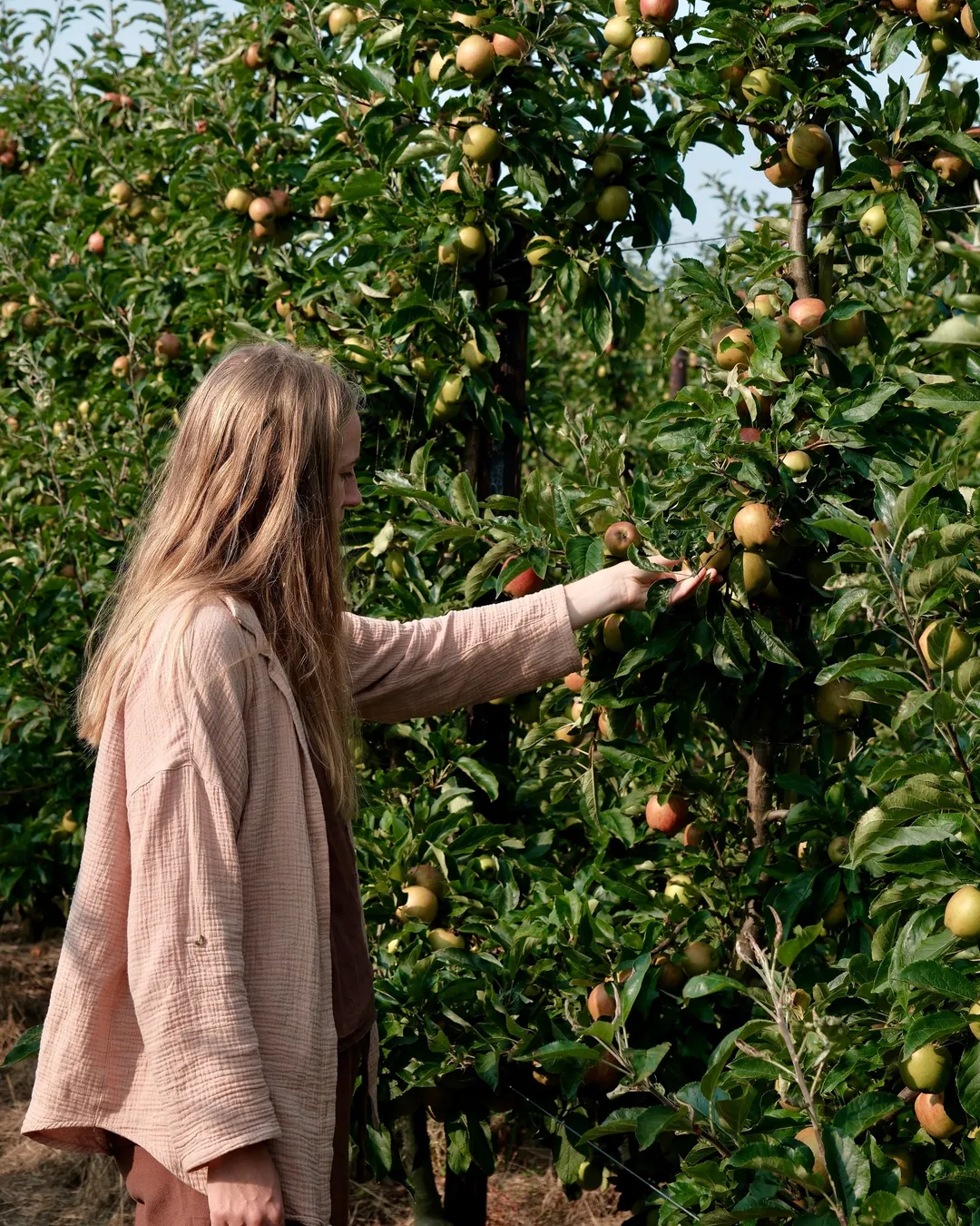 Fejø - info om øen 