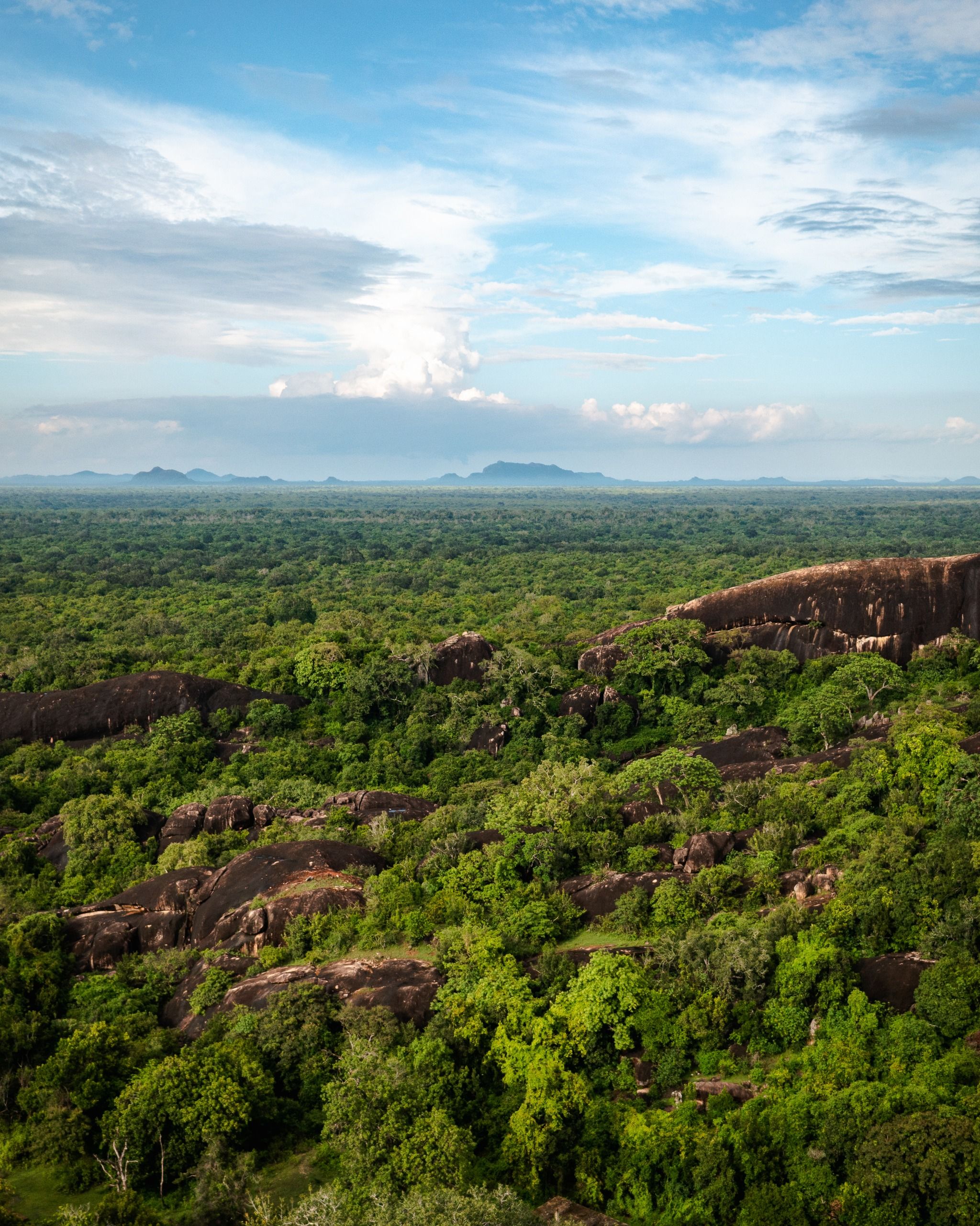 Situlpawwa Rock Temple