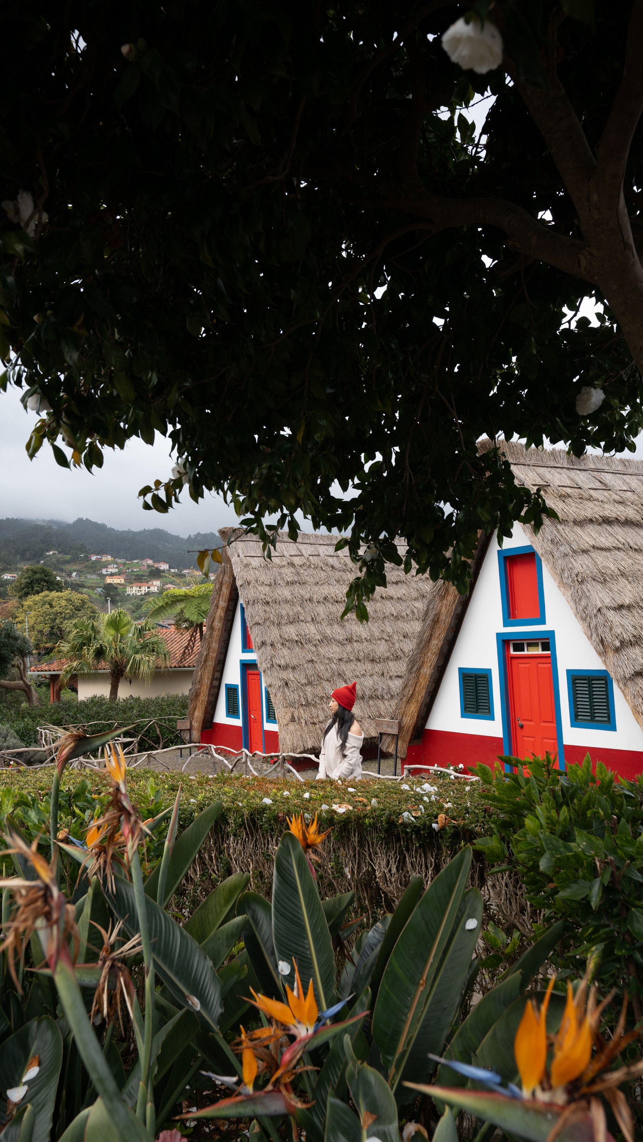 Traditional Houses of Santana