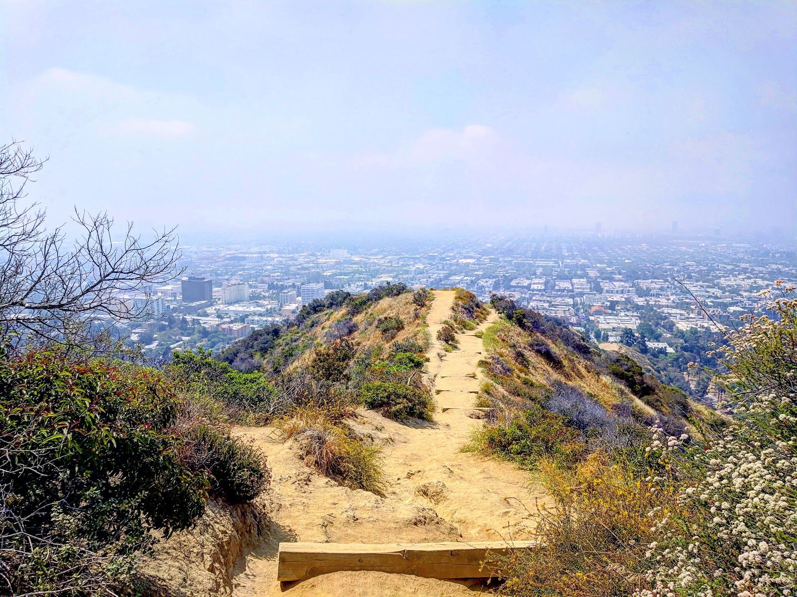 Runyon Canyon Park