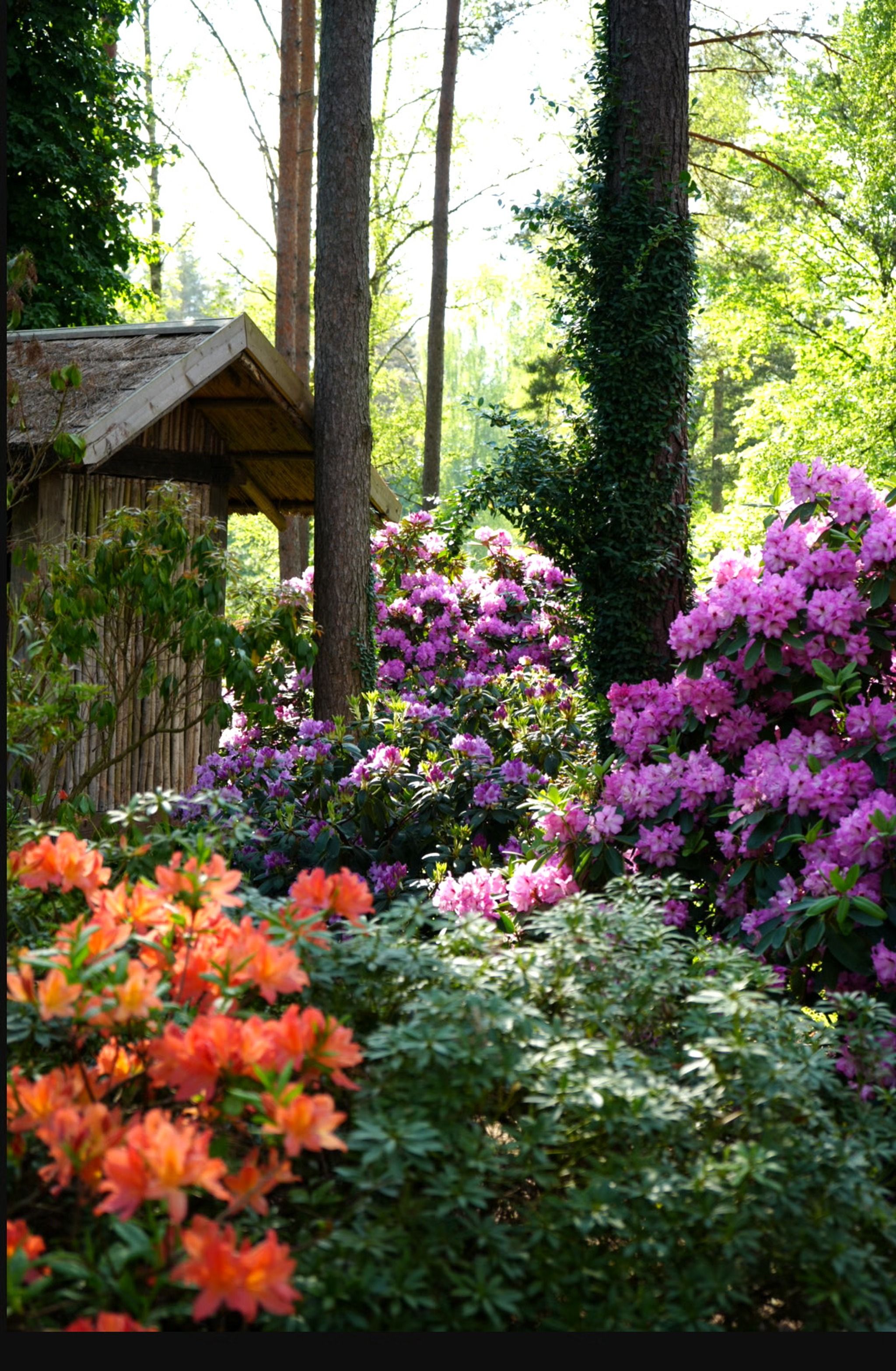 Vilniaus universiteto botanikos sodas