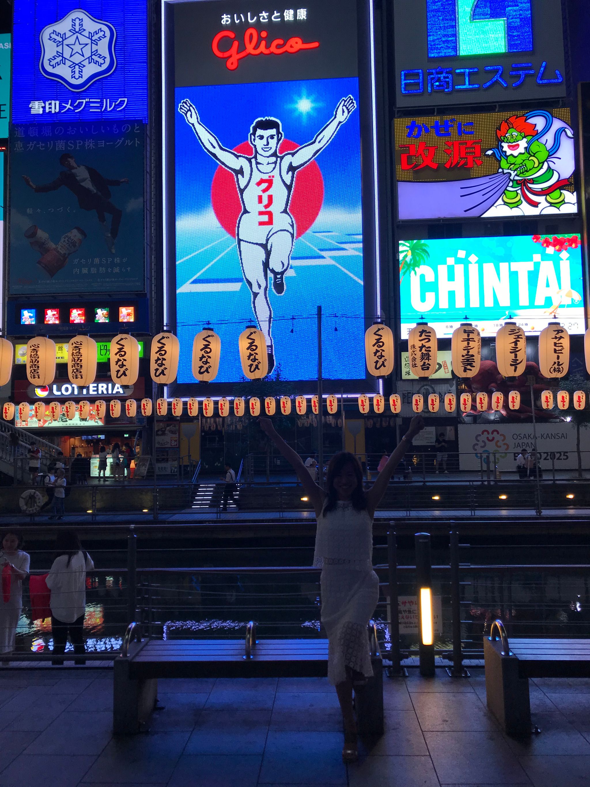 Dotonbori / 道頓堀