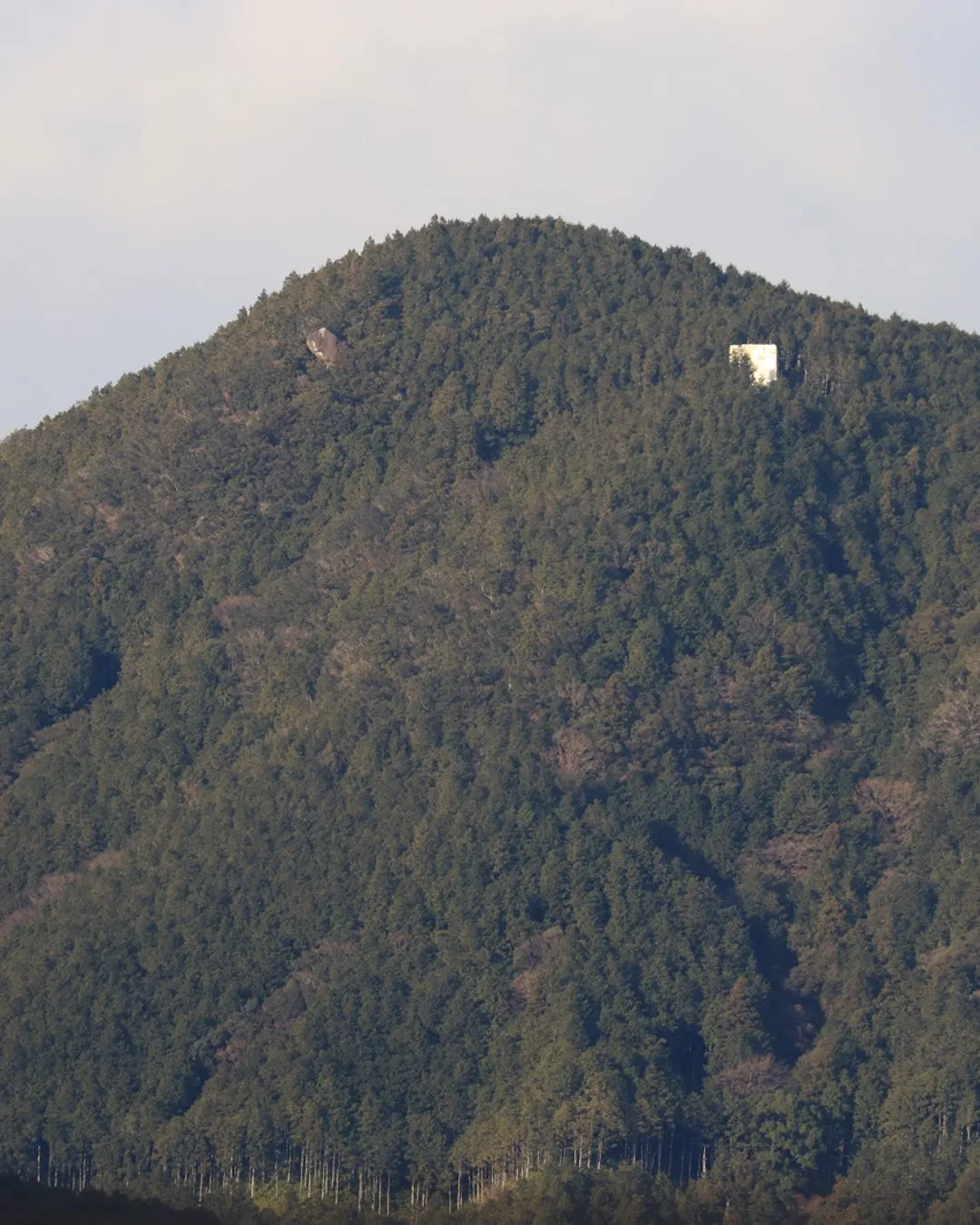 Binshiyama Elephant back - Rural Travels, Japan - Rexby