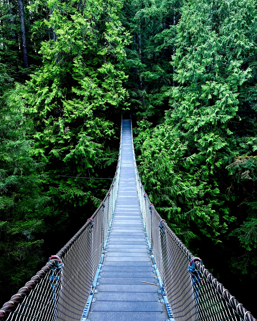 Lynn Canyon Suspension Bridge