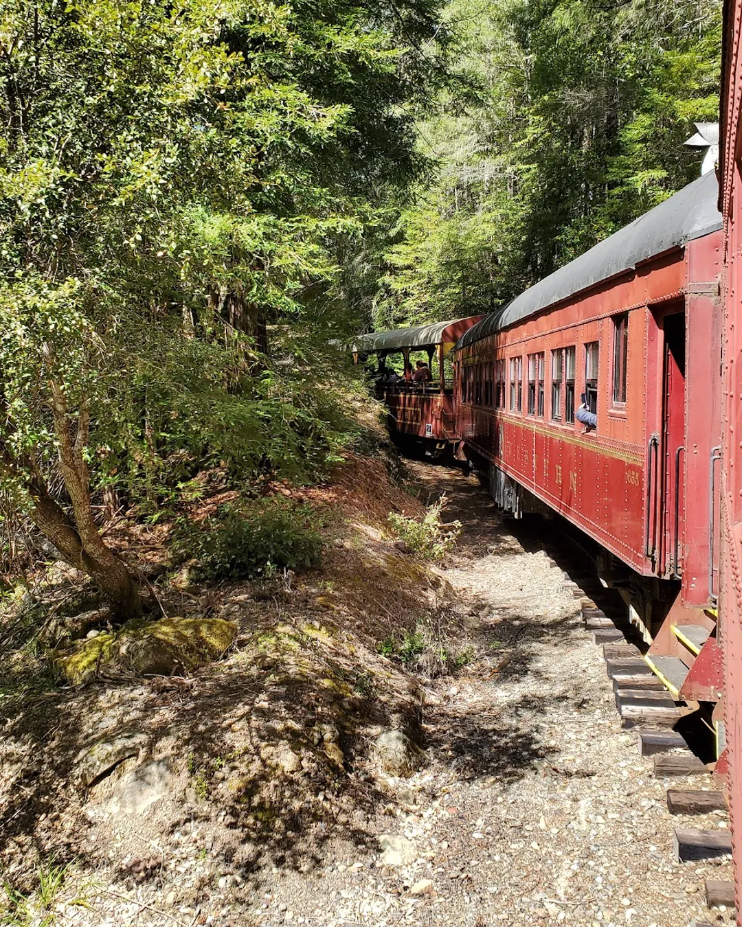 The Skunk Train from Willits