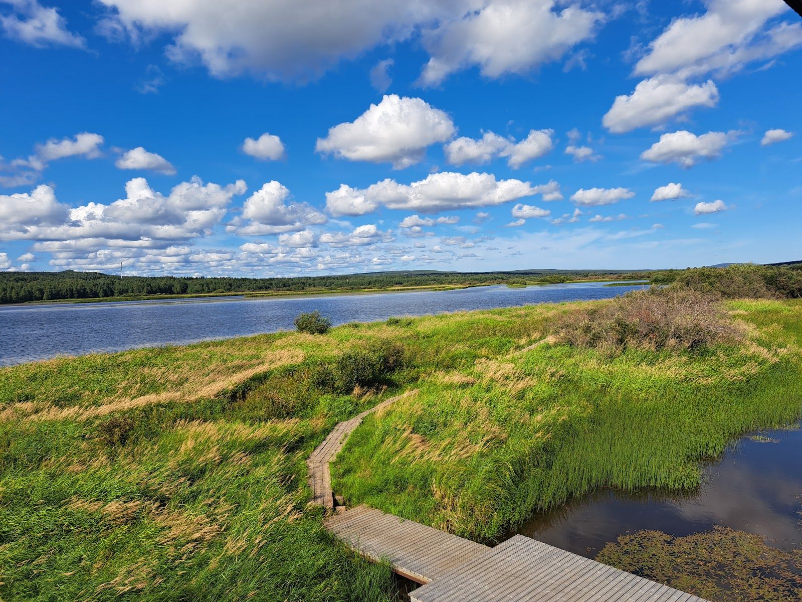 Koivusaari Nature Trail