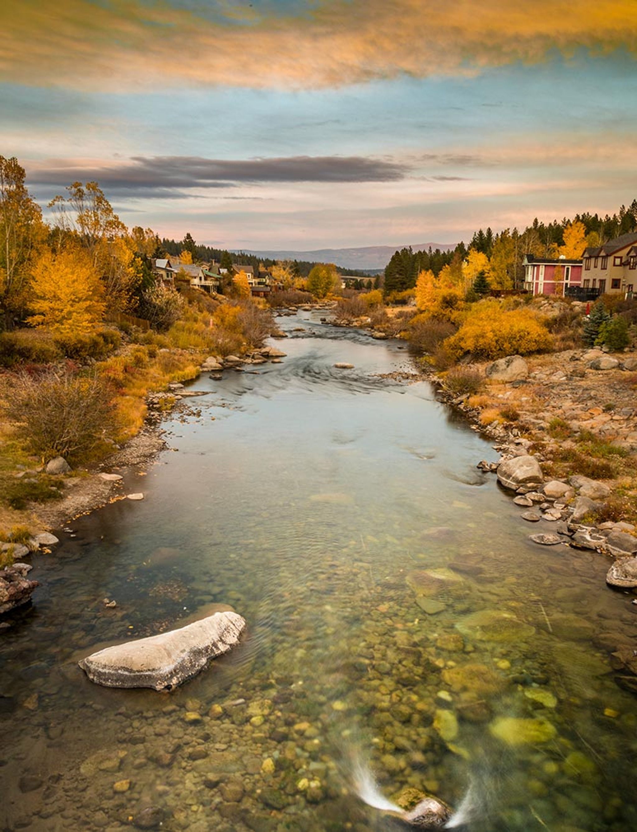 Prime Fall colors in Truckee