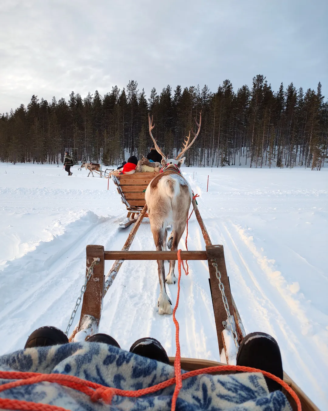 Konijänkkä