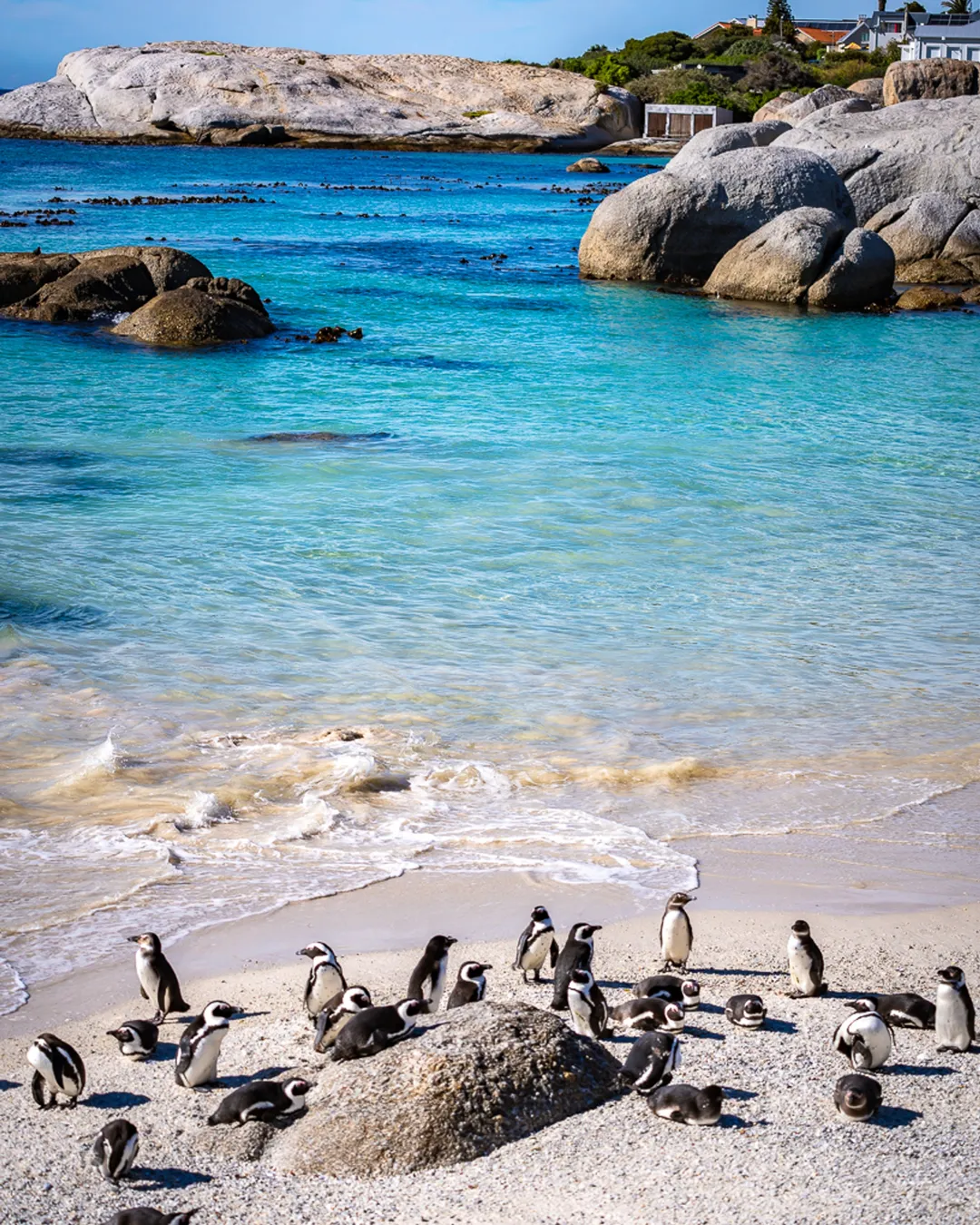 Boulders Beach