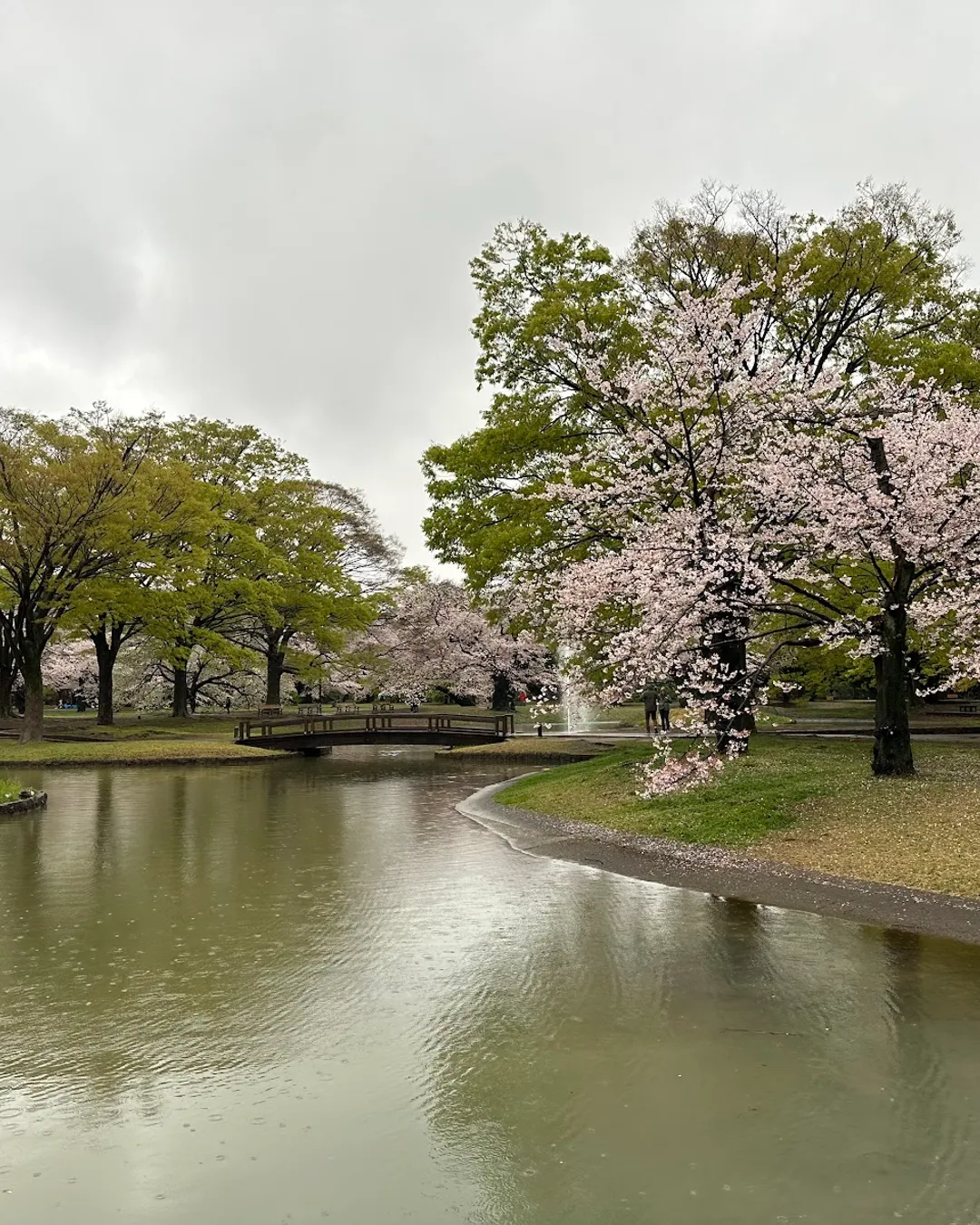 Yoyogi-Park