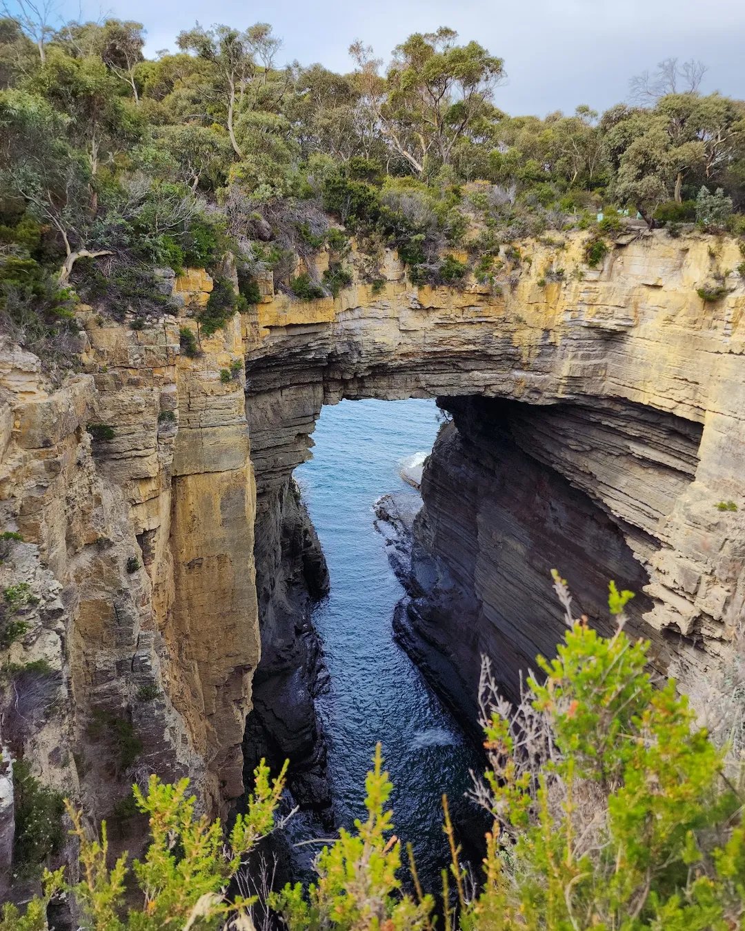 Tasmans Arch