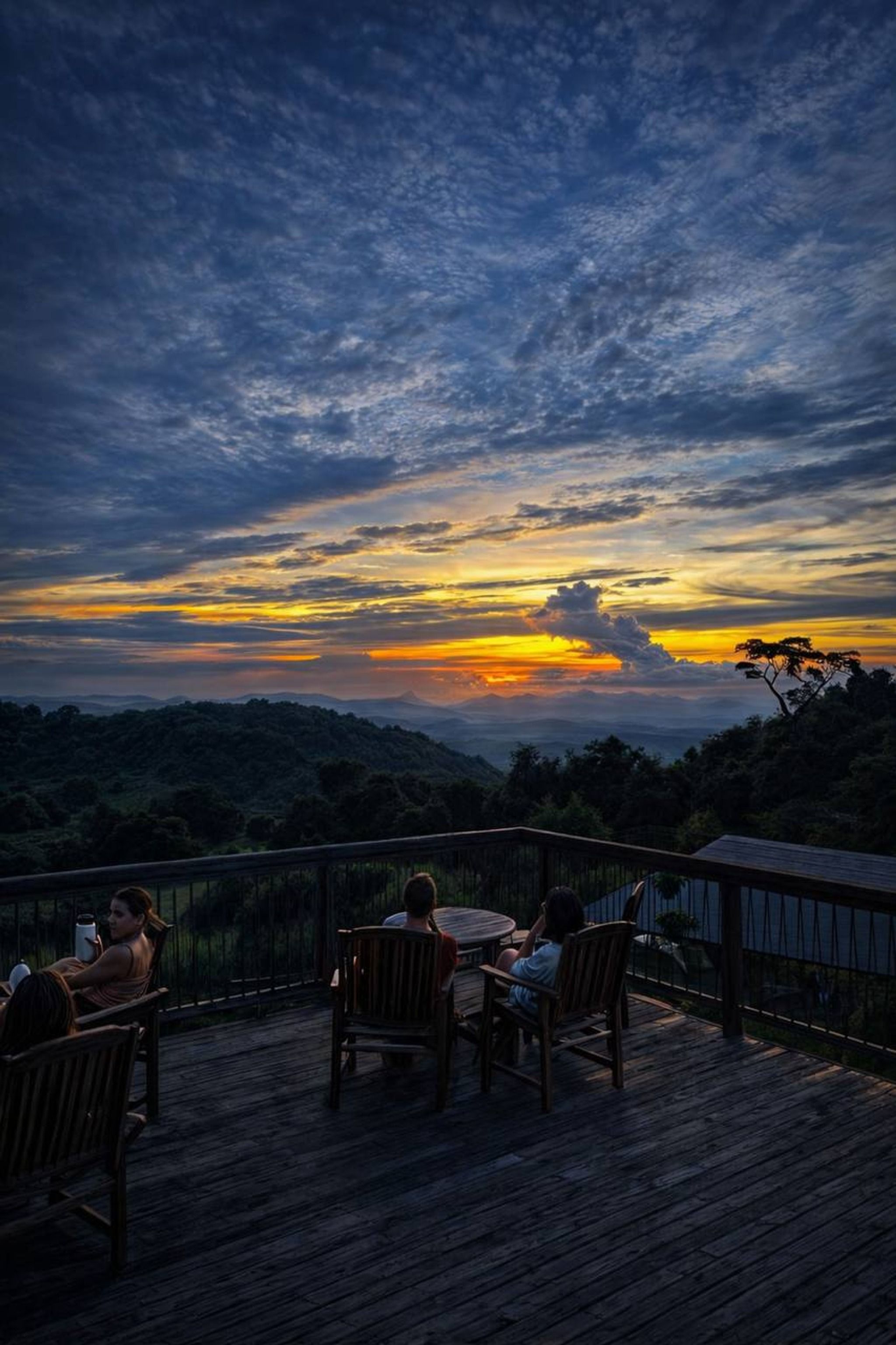 O'Reilly's Rainforest Retreat