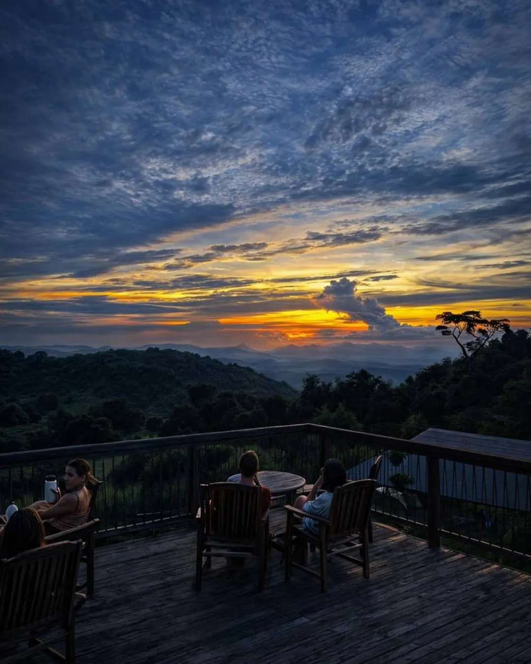 O'Reilly's Rainforest Retreat