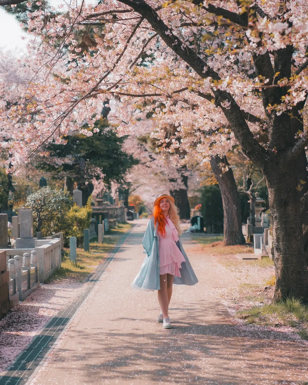 Aoyama Cemetery