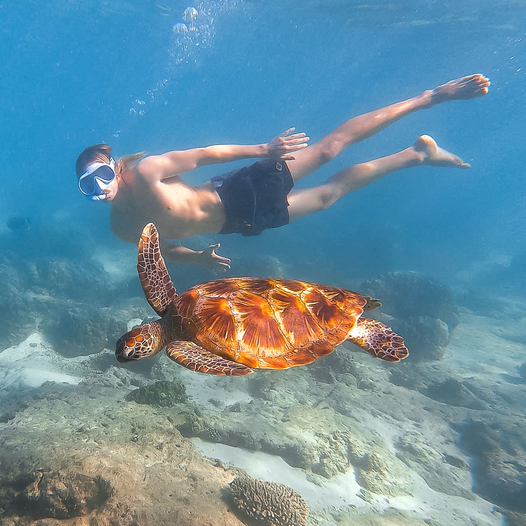 Lakeside Snorkelling Area