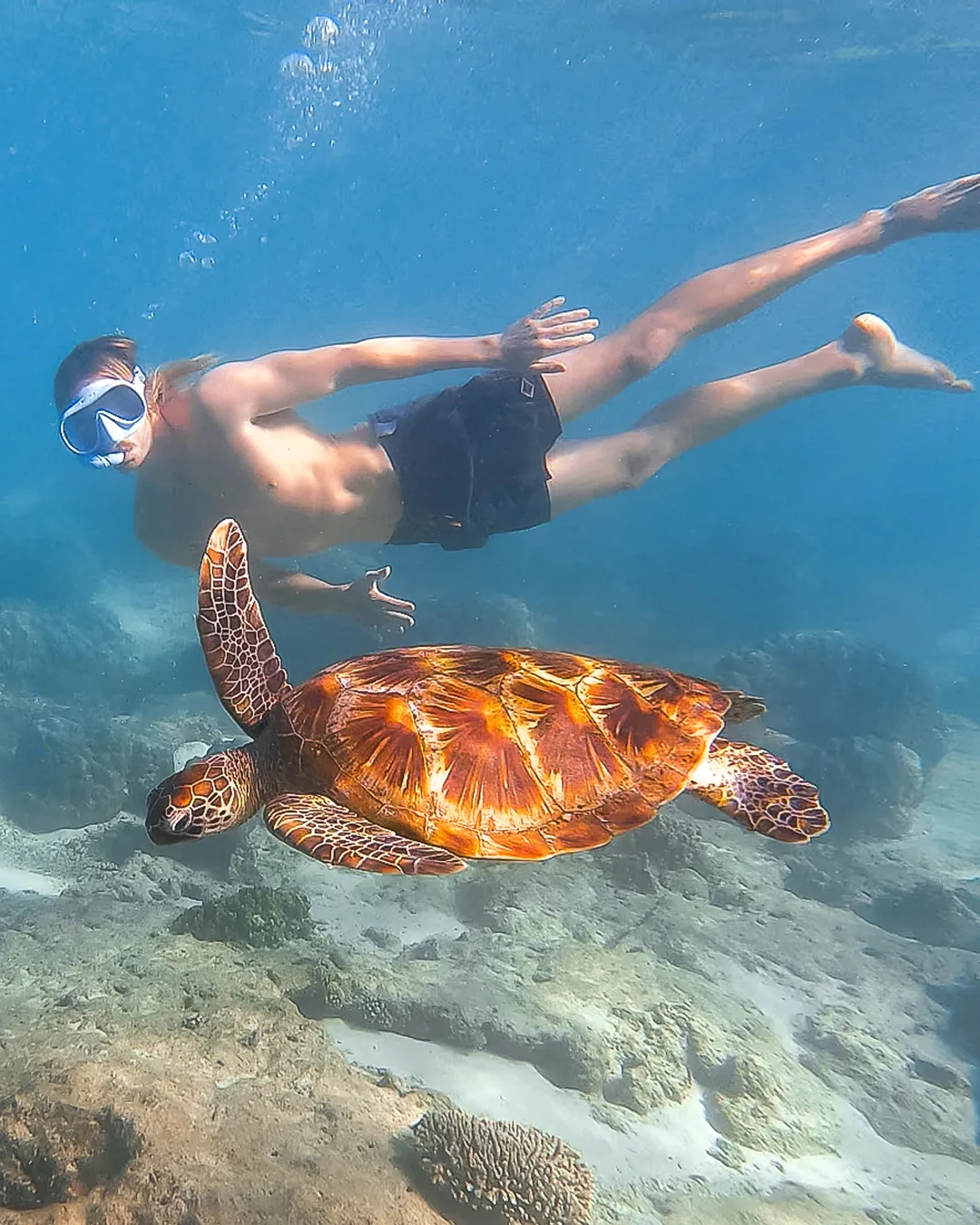 Lakeside Snorkelling Area