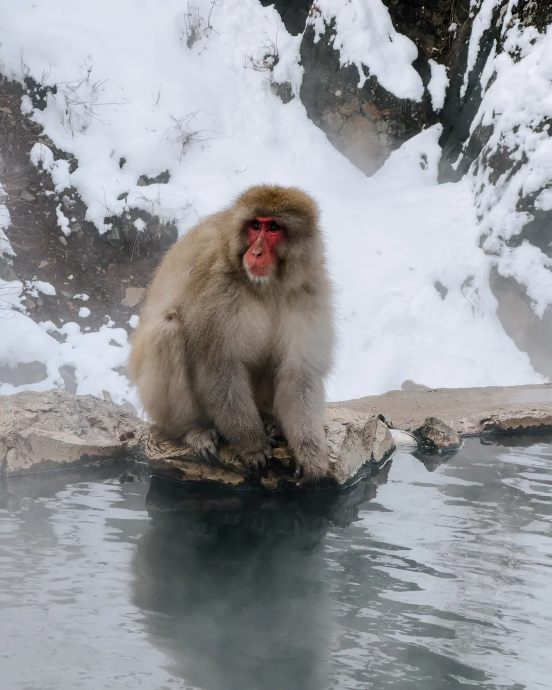 Jigokudani Yaen-Koen