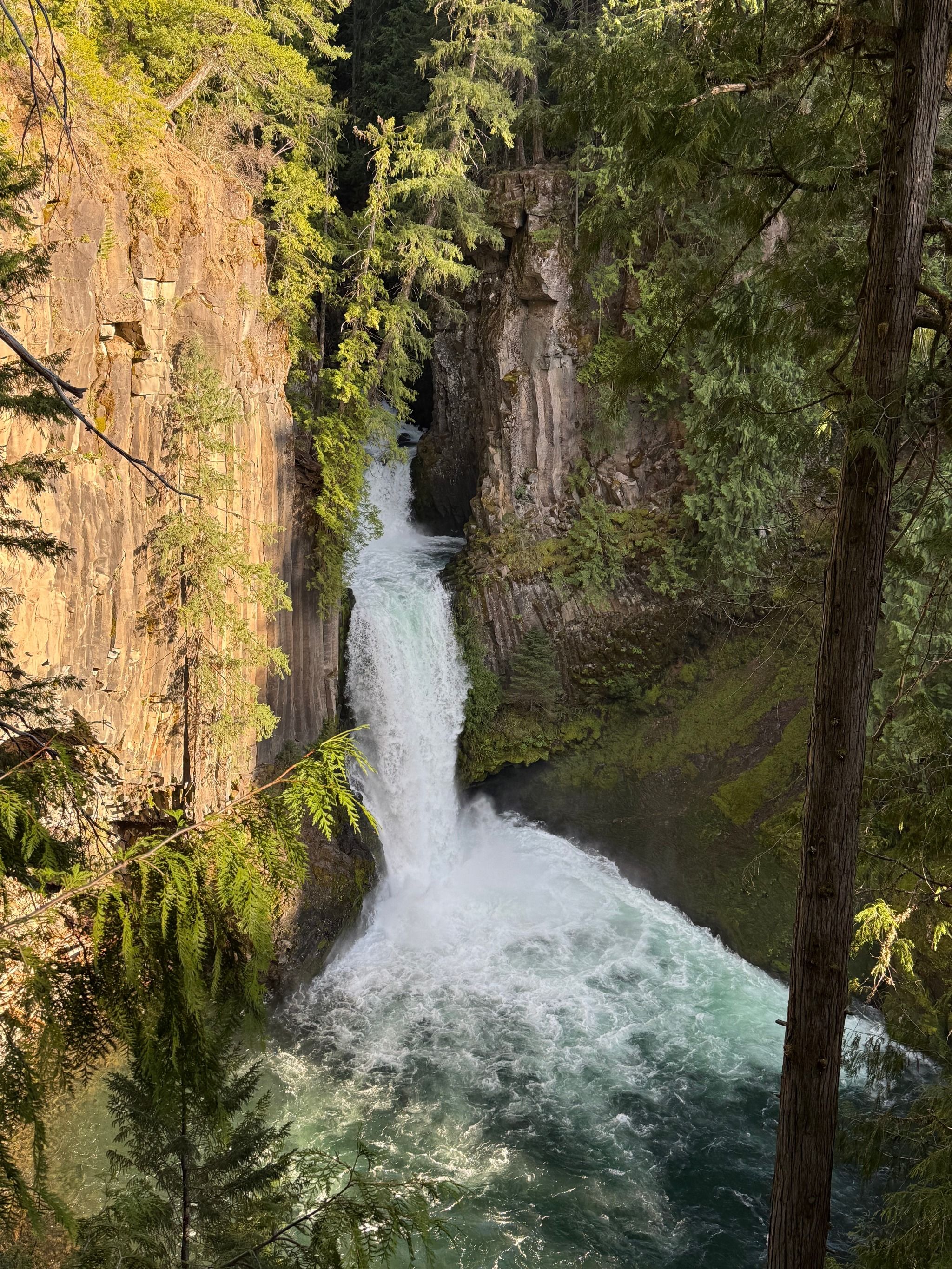 Toketee Falls Trailhead