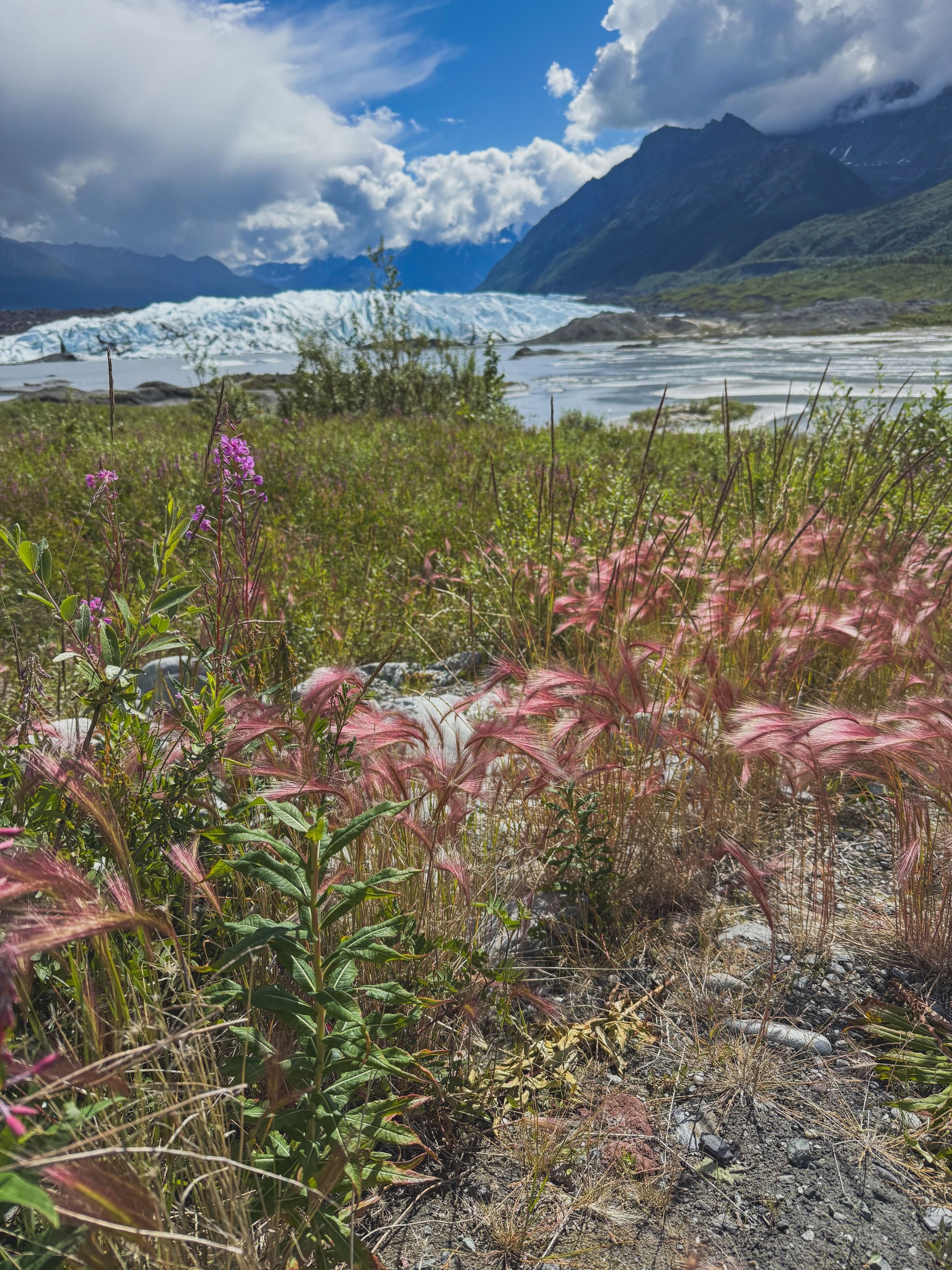 Matanuska Glacier
