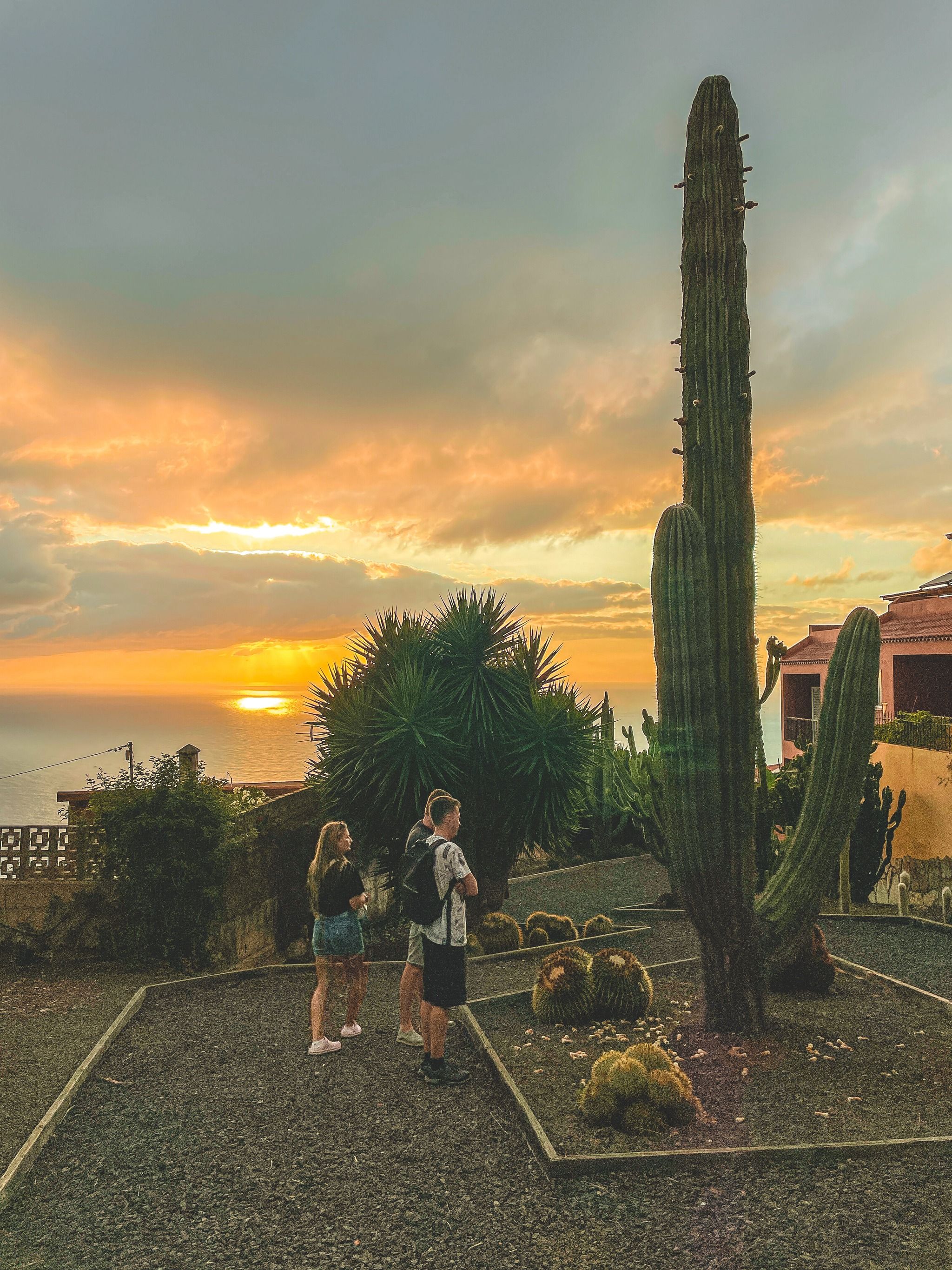 Cactus Garden - Tenerife, Spain - Rexby