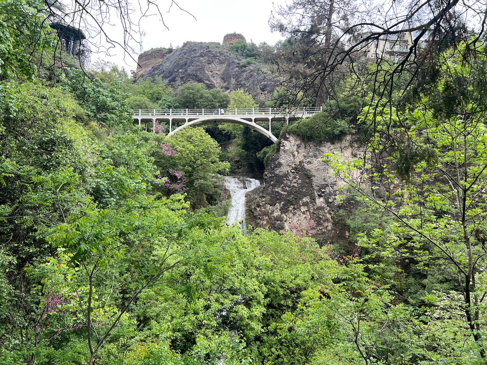 National Botanical Garden