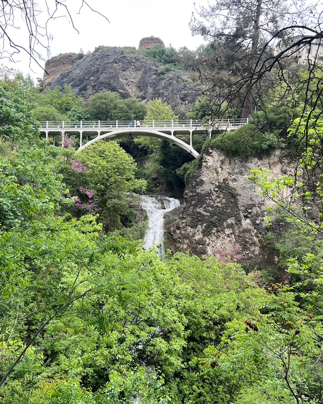 National Botanical Garden