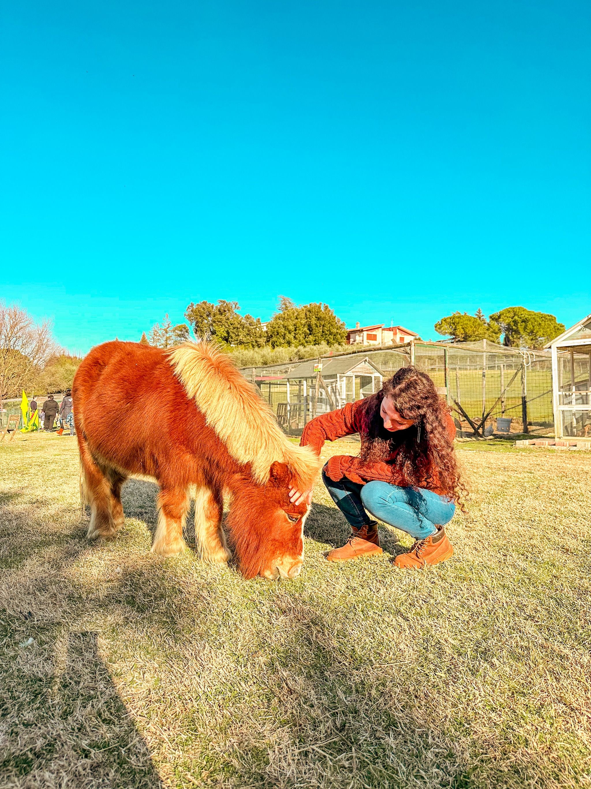 Piani degli Alpaca
