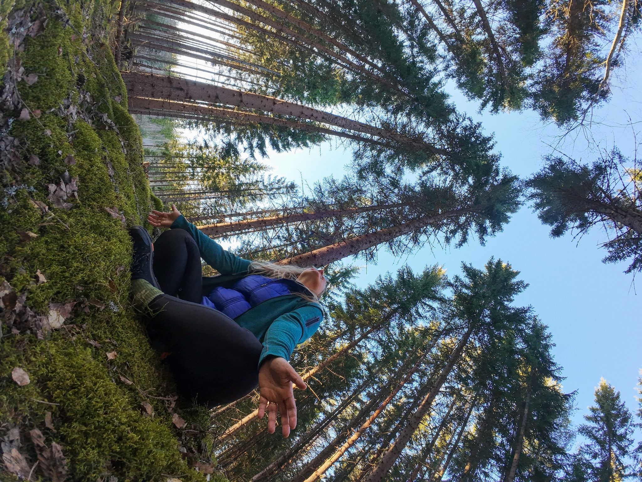 Rest area Rällsjön