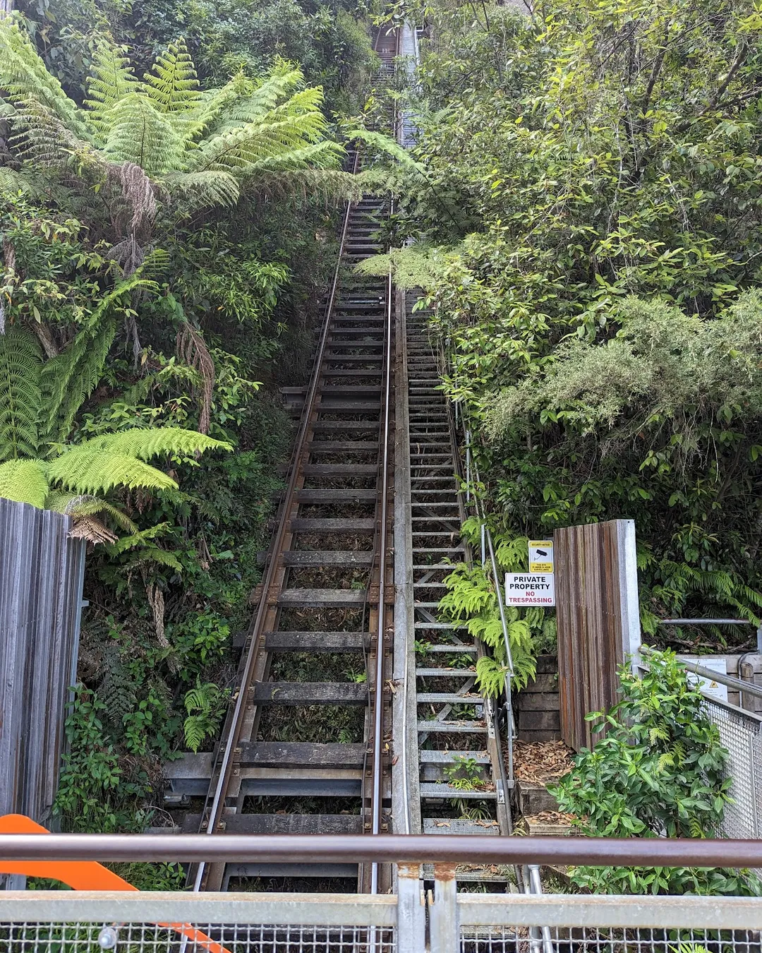 Scenic World