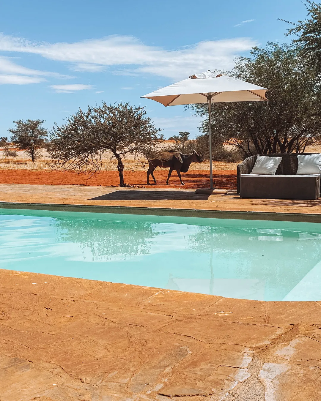 Bagatelle Kalahari Game Ranch