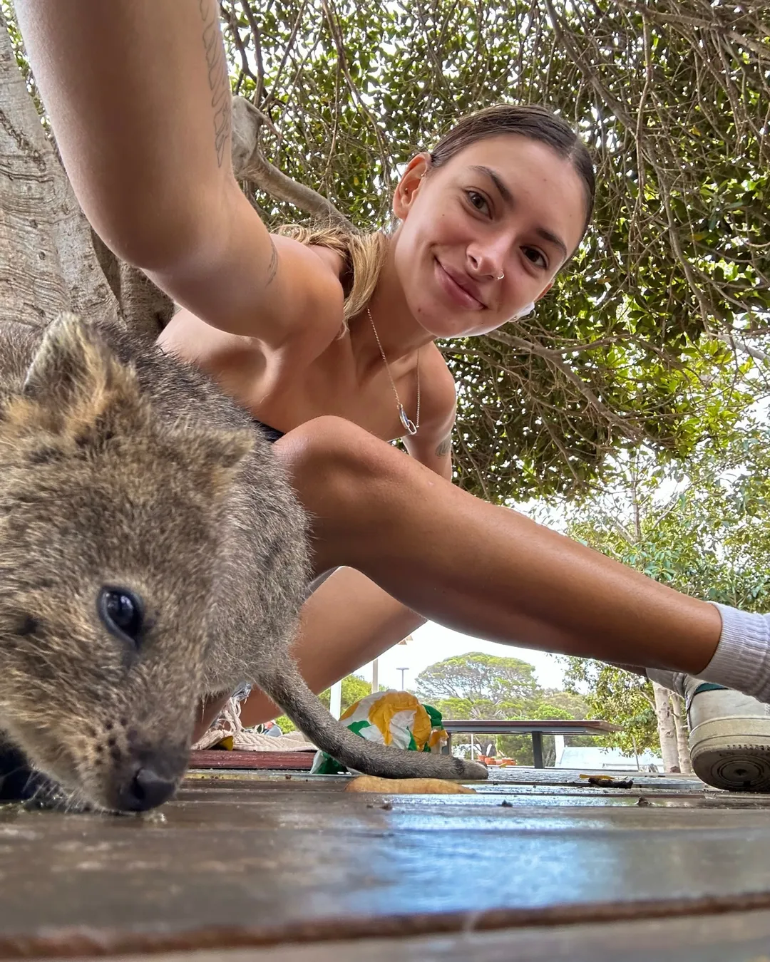 Quokka's at Rottnest Island