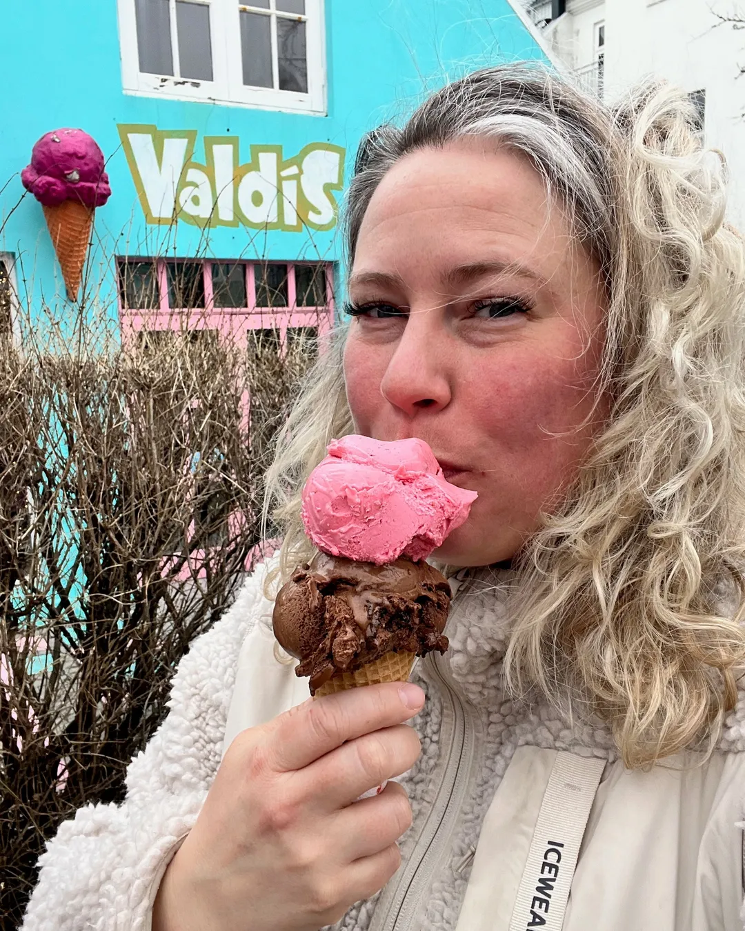 Ísbúðin litla Valdís