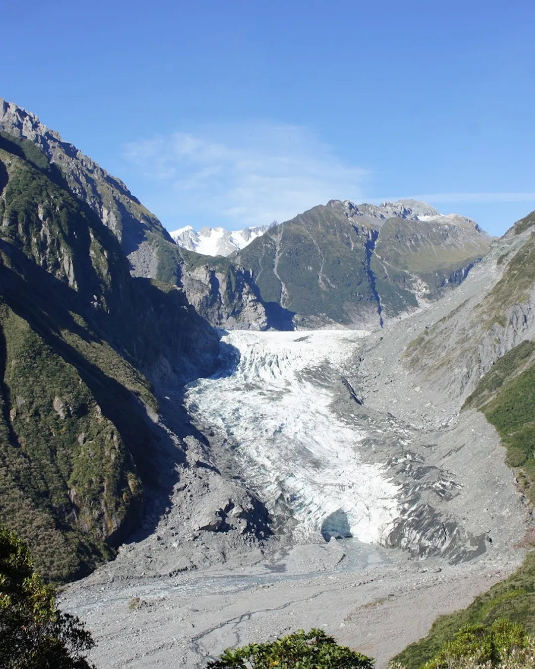 Fox Glacier