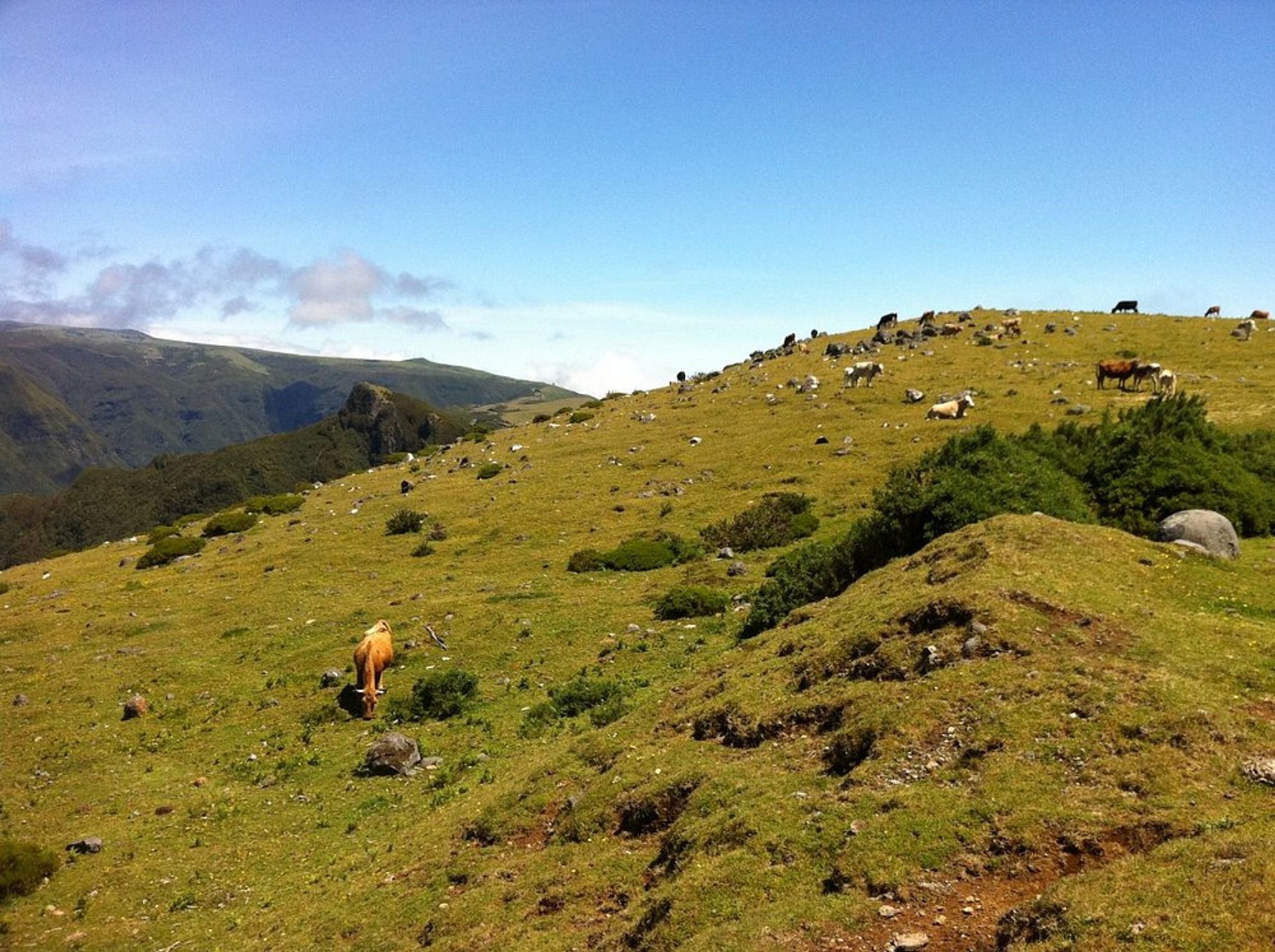 Paul da Serra Plateau Paths