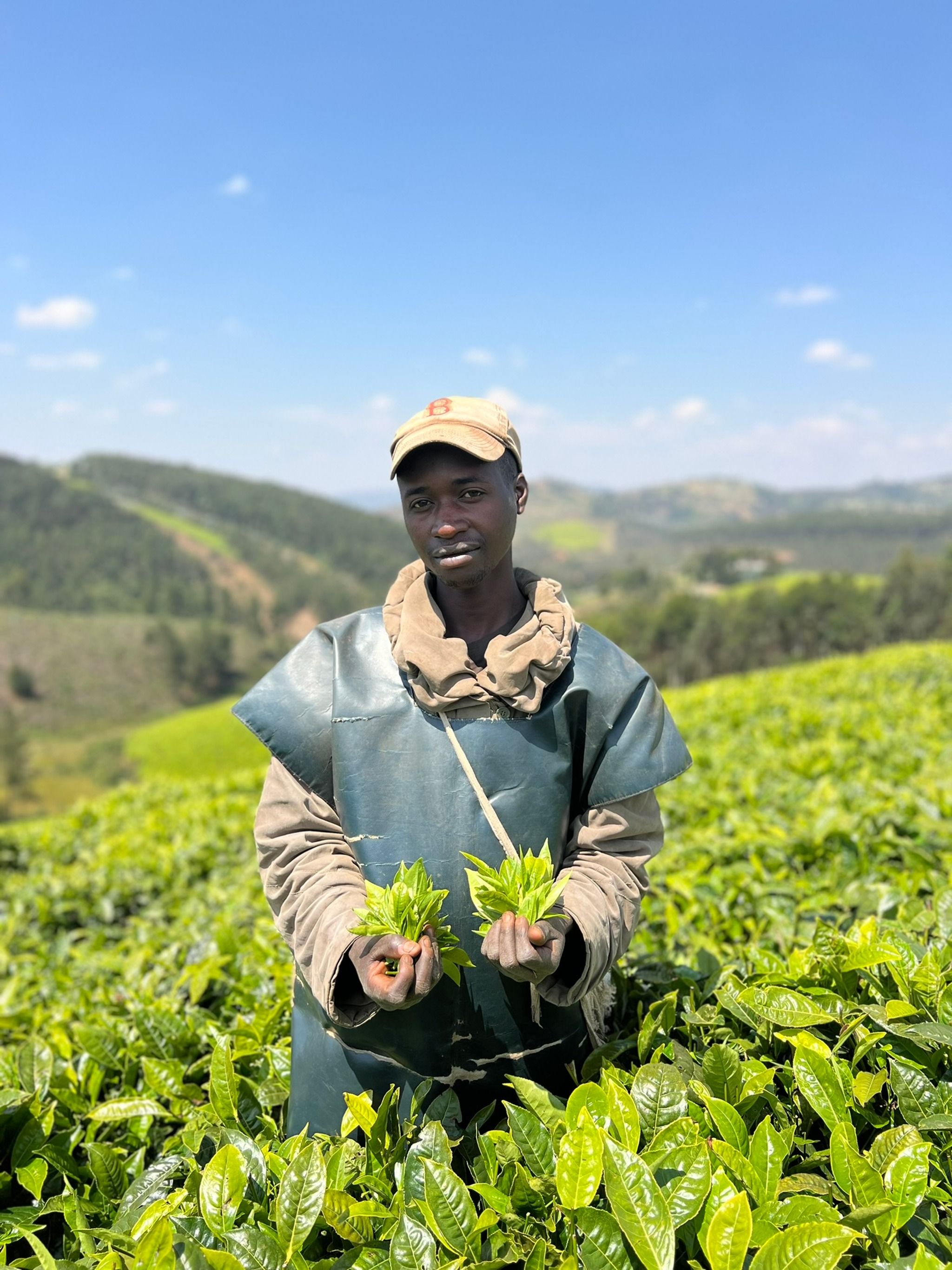 Teza Tea Plantation