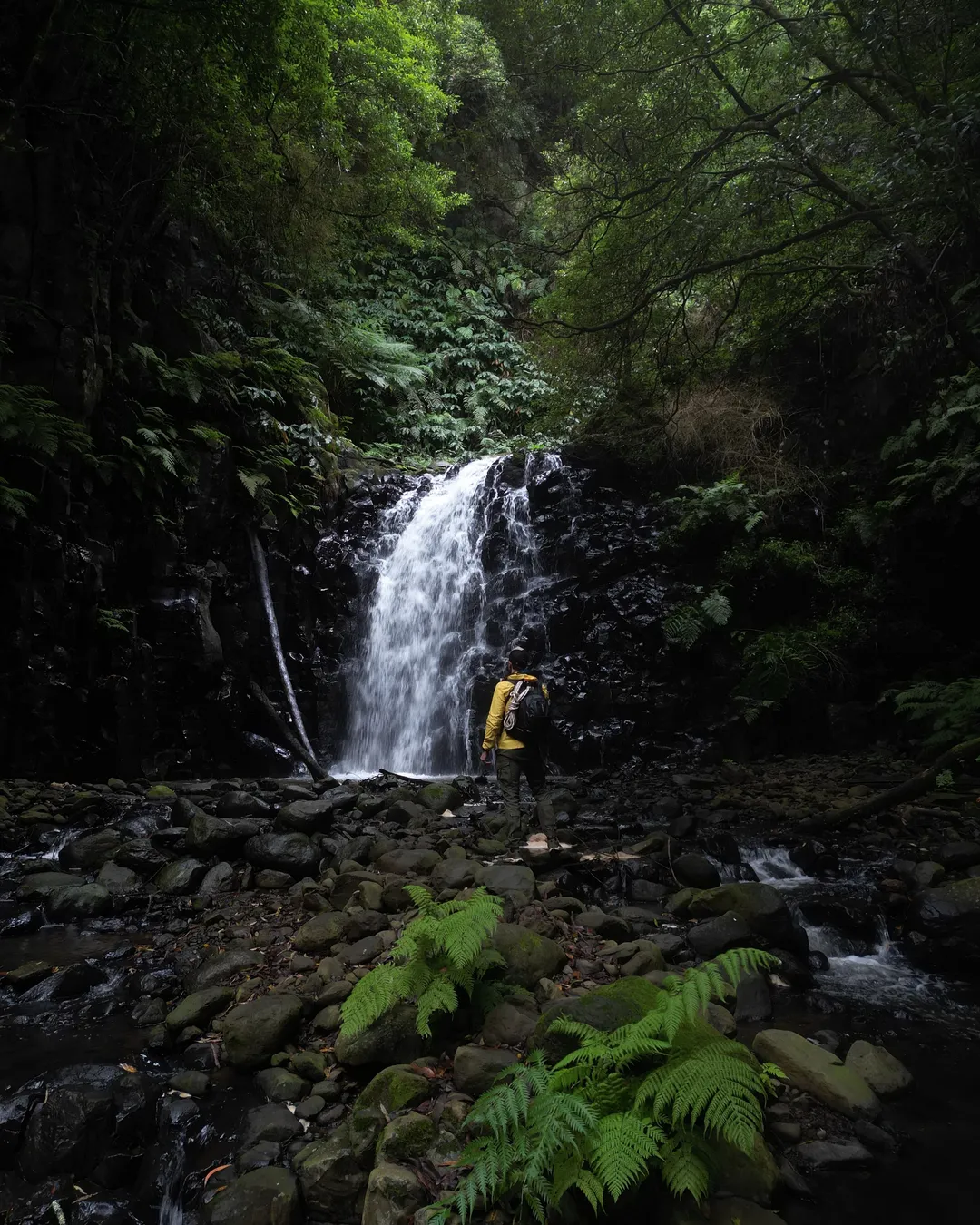 Santa Cruz Secret Hike