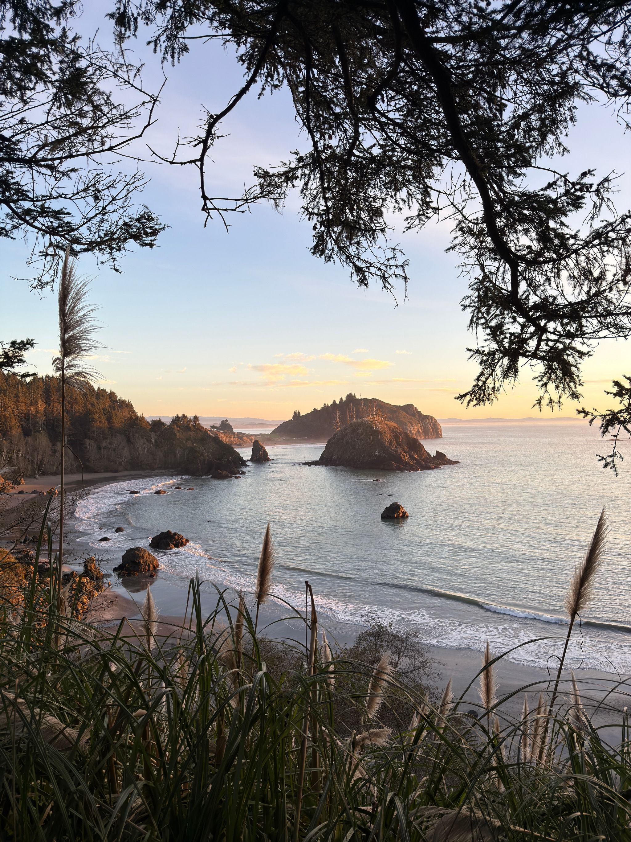 Trinidad State Beach