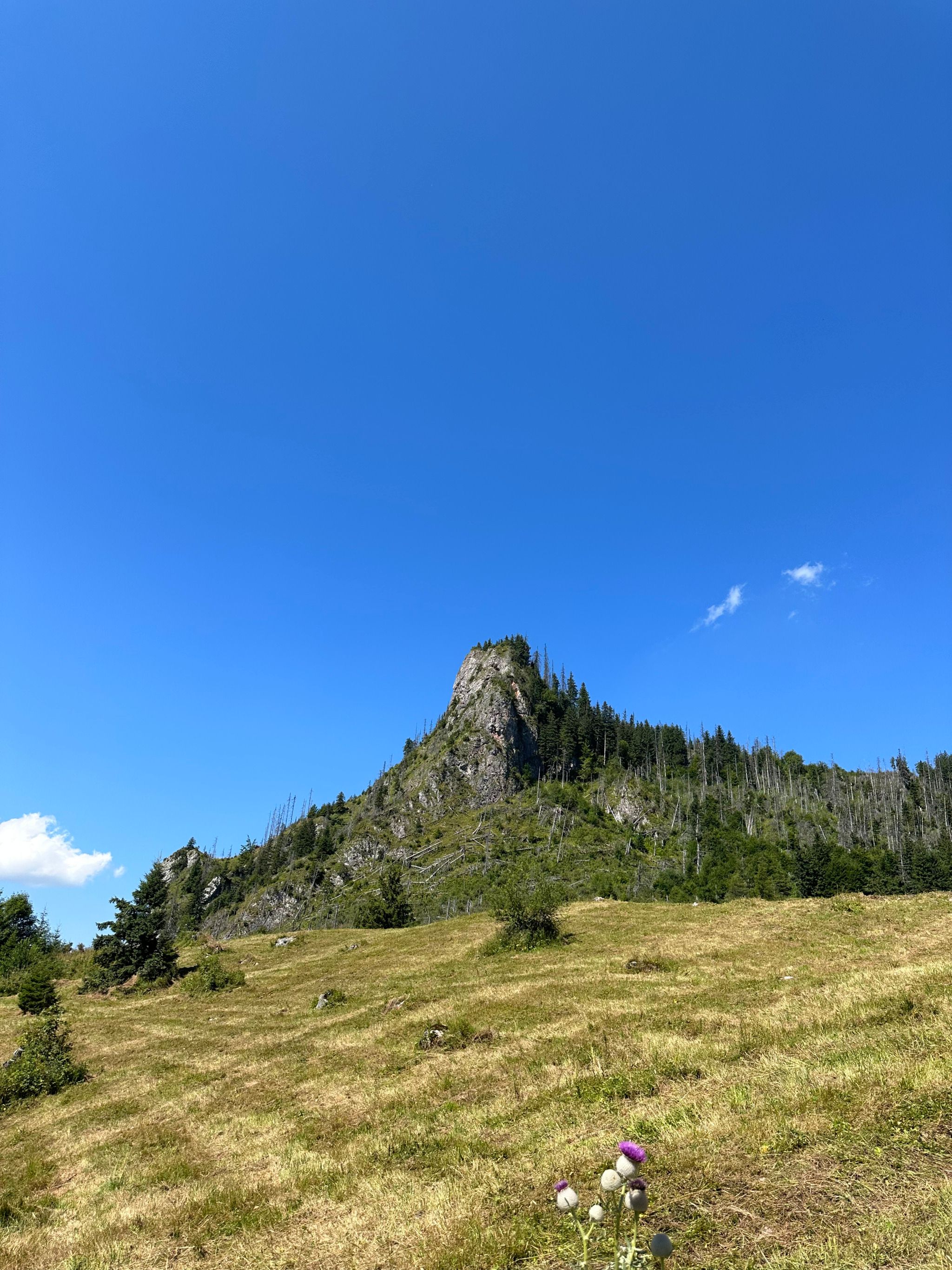 Kościeliska Valley