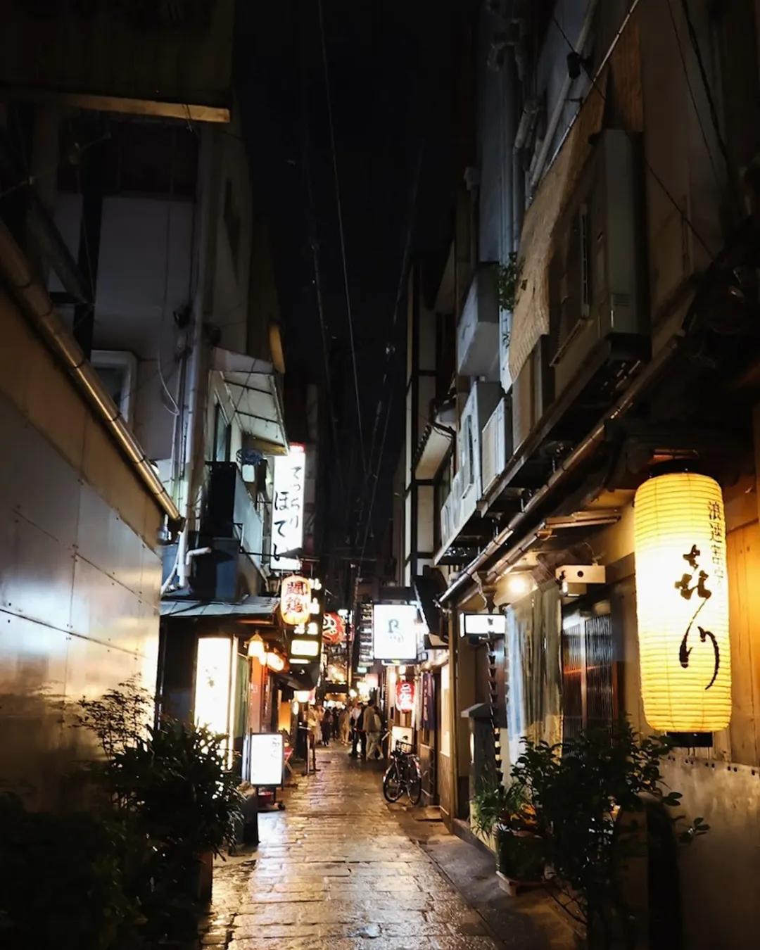 Hozenji Yokocho