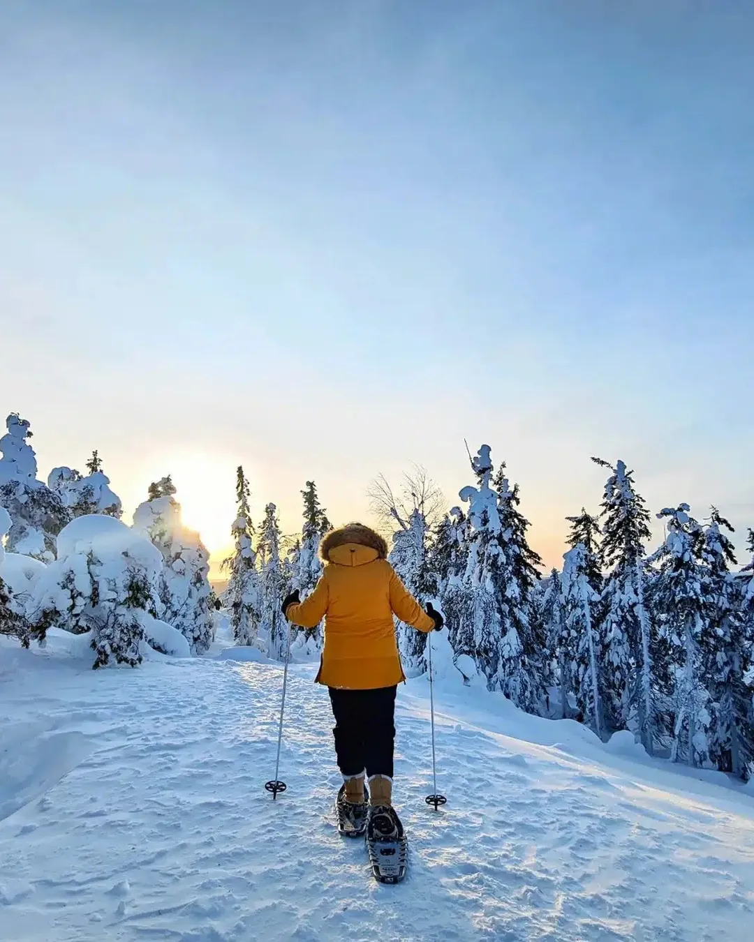 Koli National Park